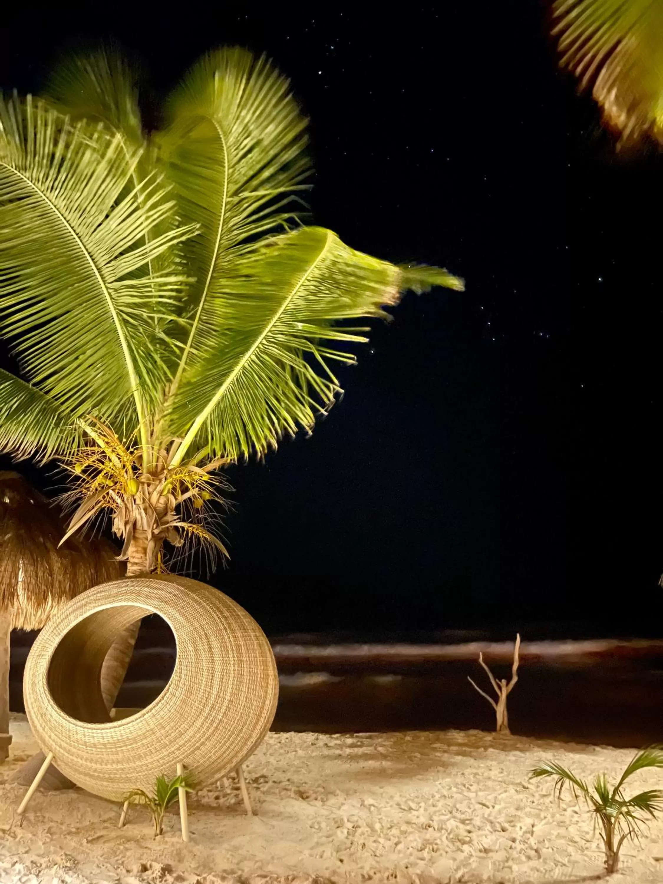 Beach in Sueños Tulum