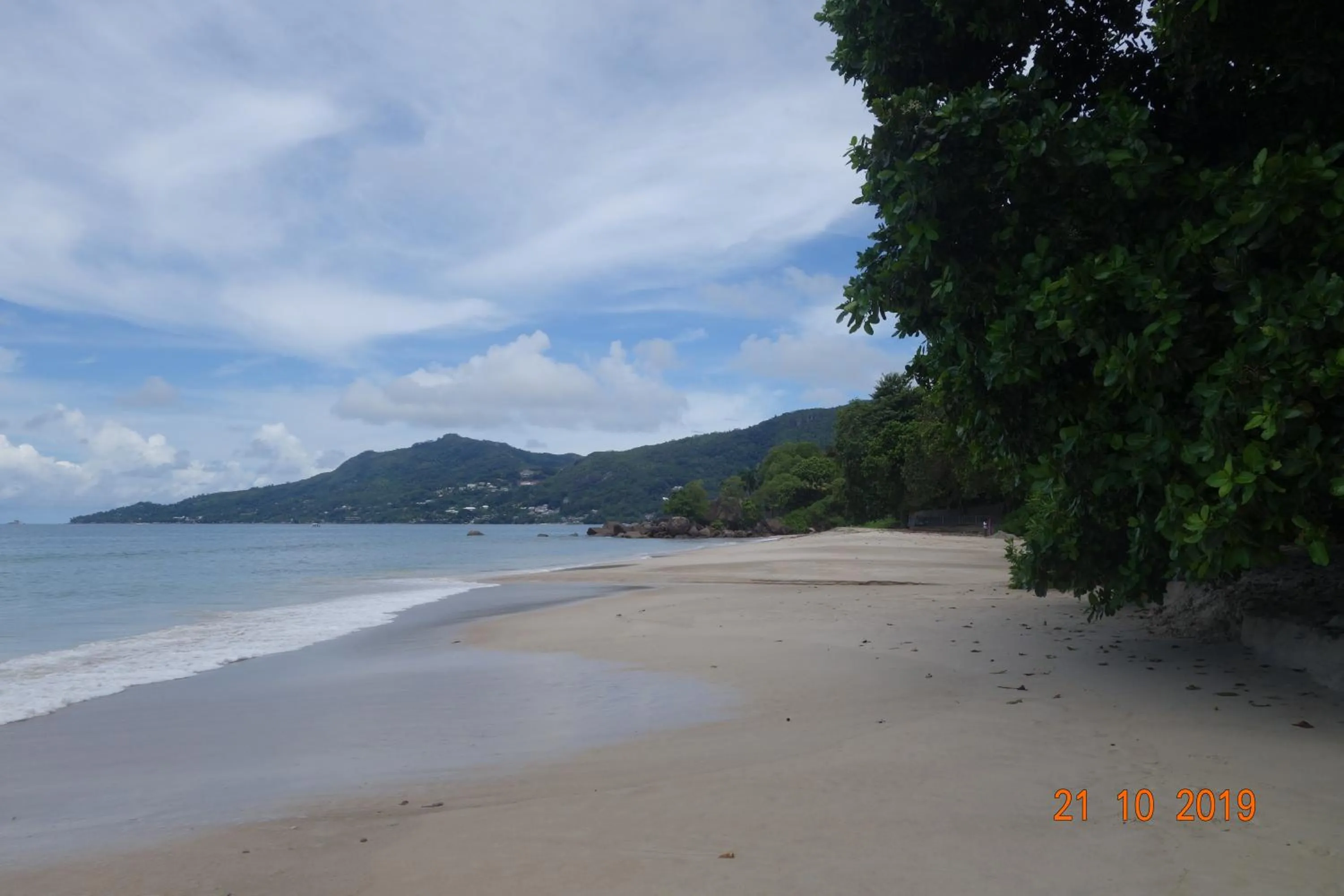 Beach in Forest Lodge
