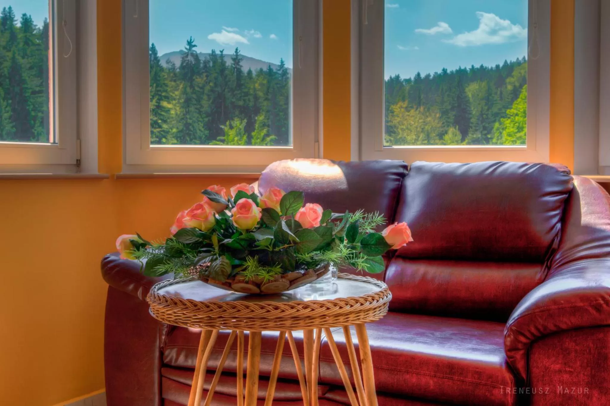 View (from property/room) in Hotel Las Piechowice