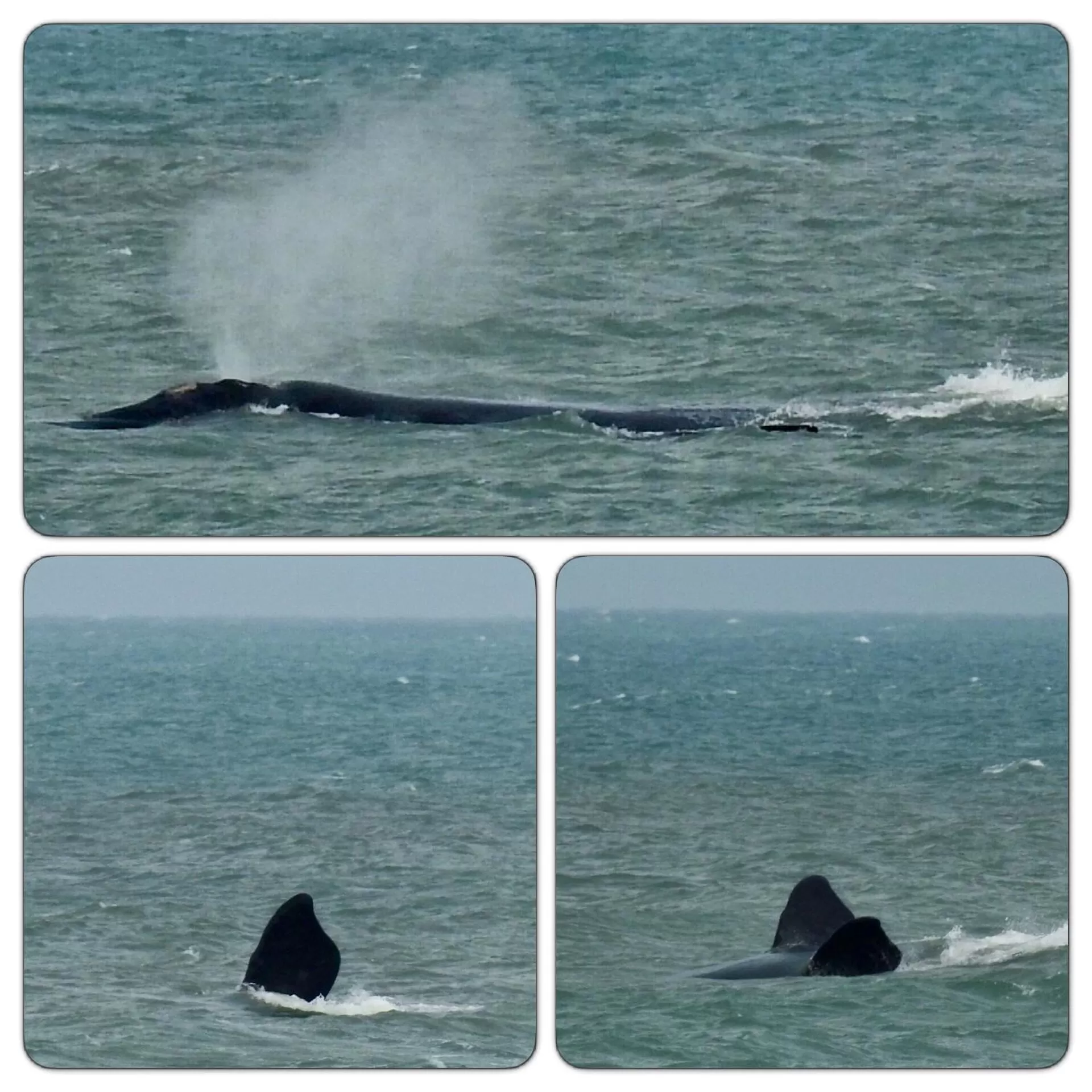 Natural landscape in Pousada dos Sambaquis