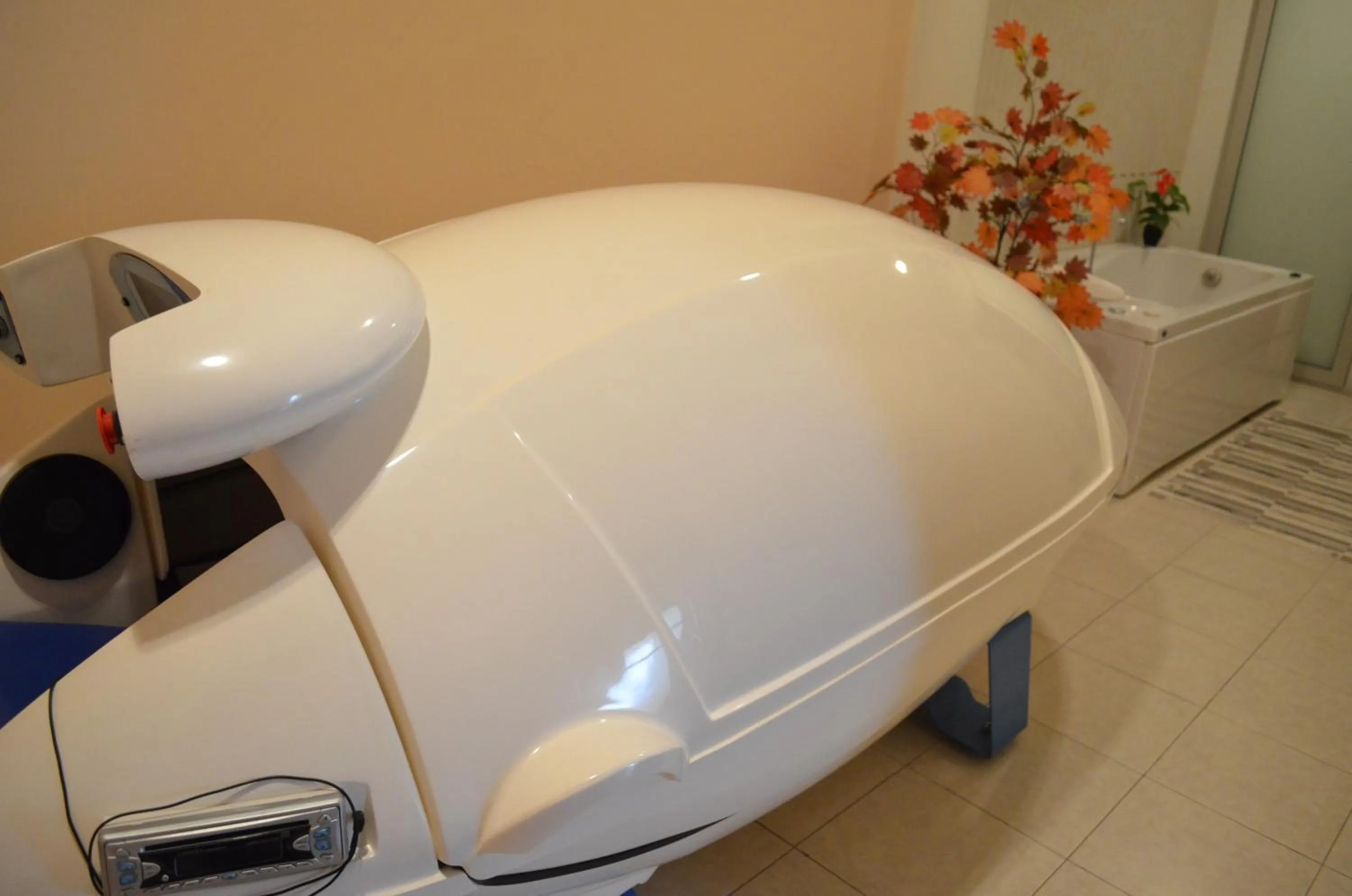 Hot Tub in Hotel Bankya Palace