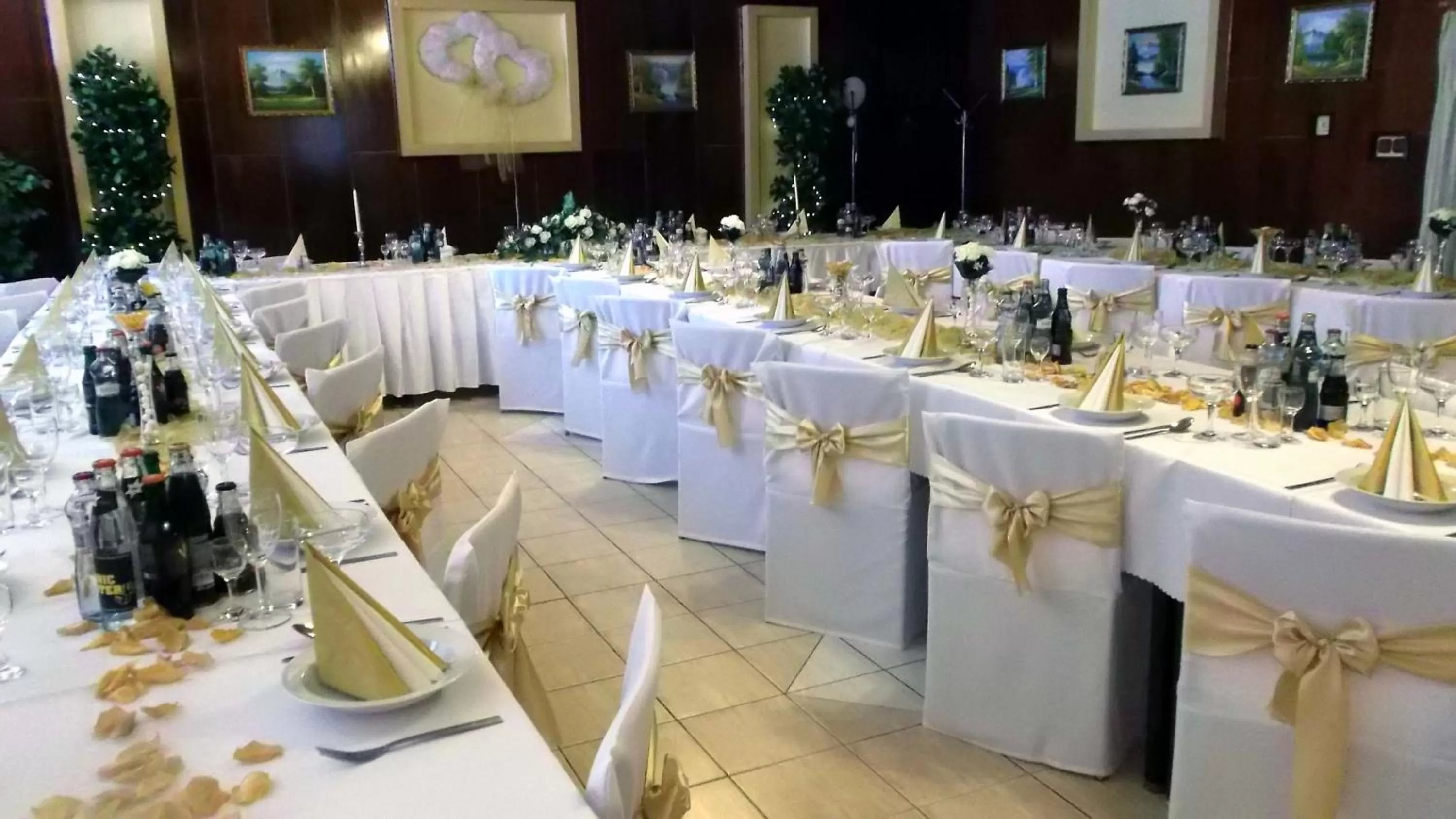 Banquet/Function facilities in ABC Hotel Nitra