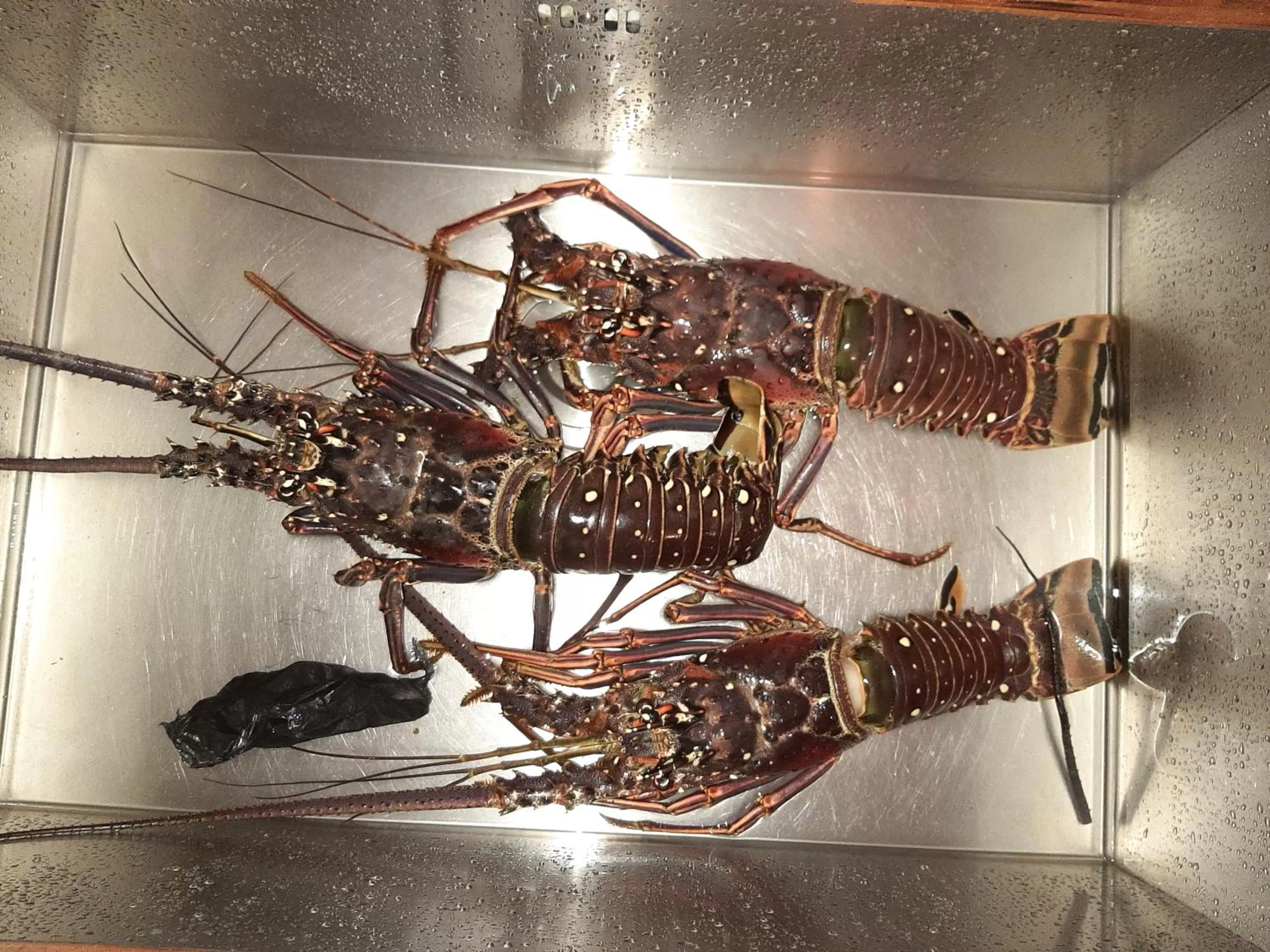 BBQ facilities in The Milligan