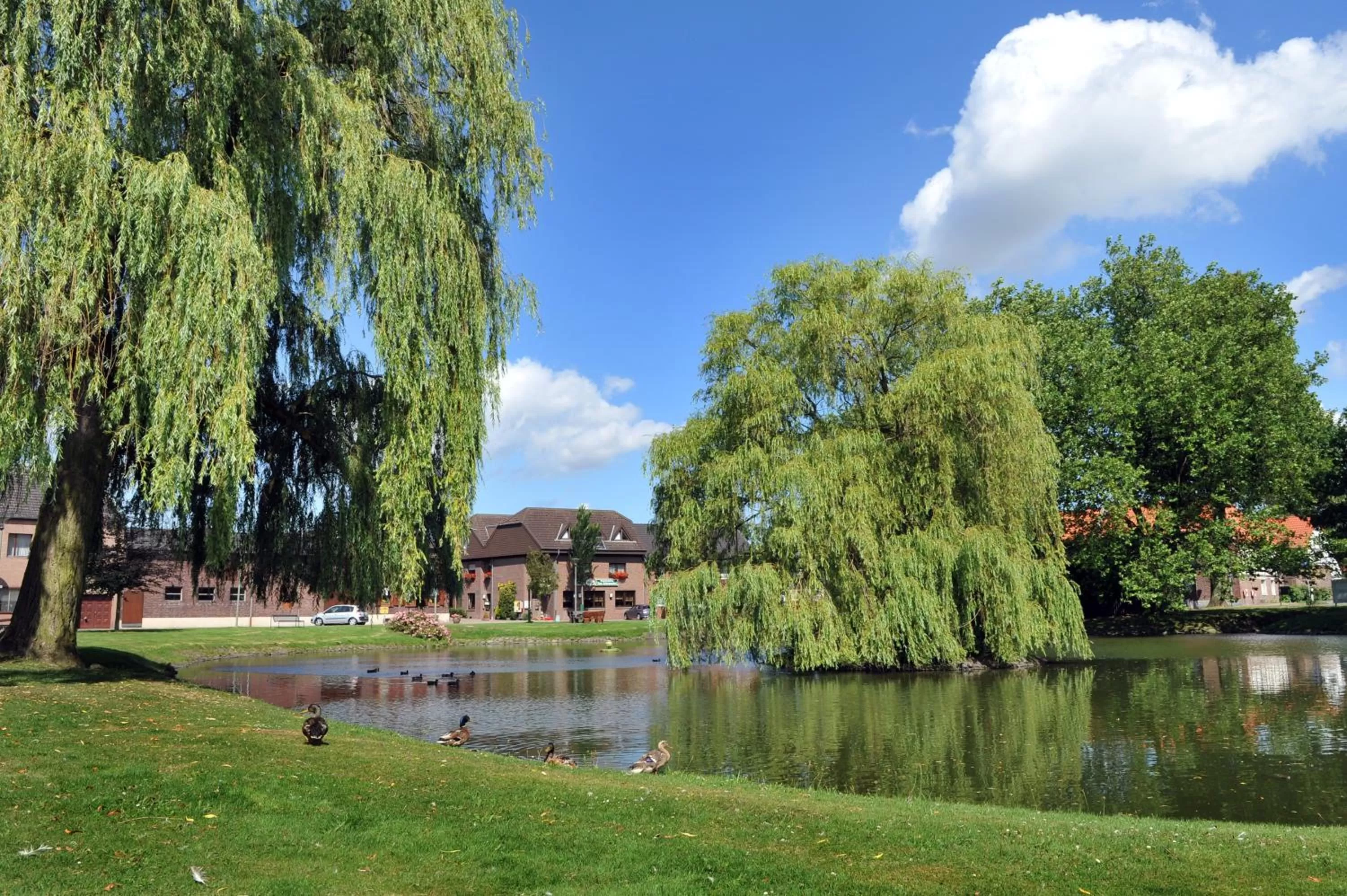 Natural landscape in Schwanenhof Hotel und Restaurant