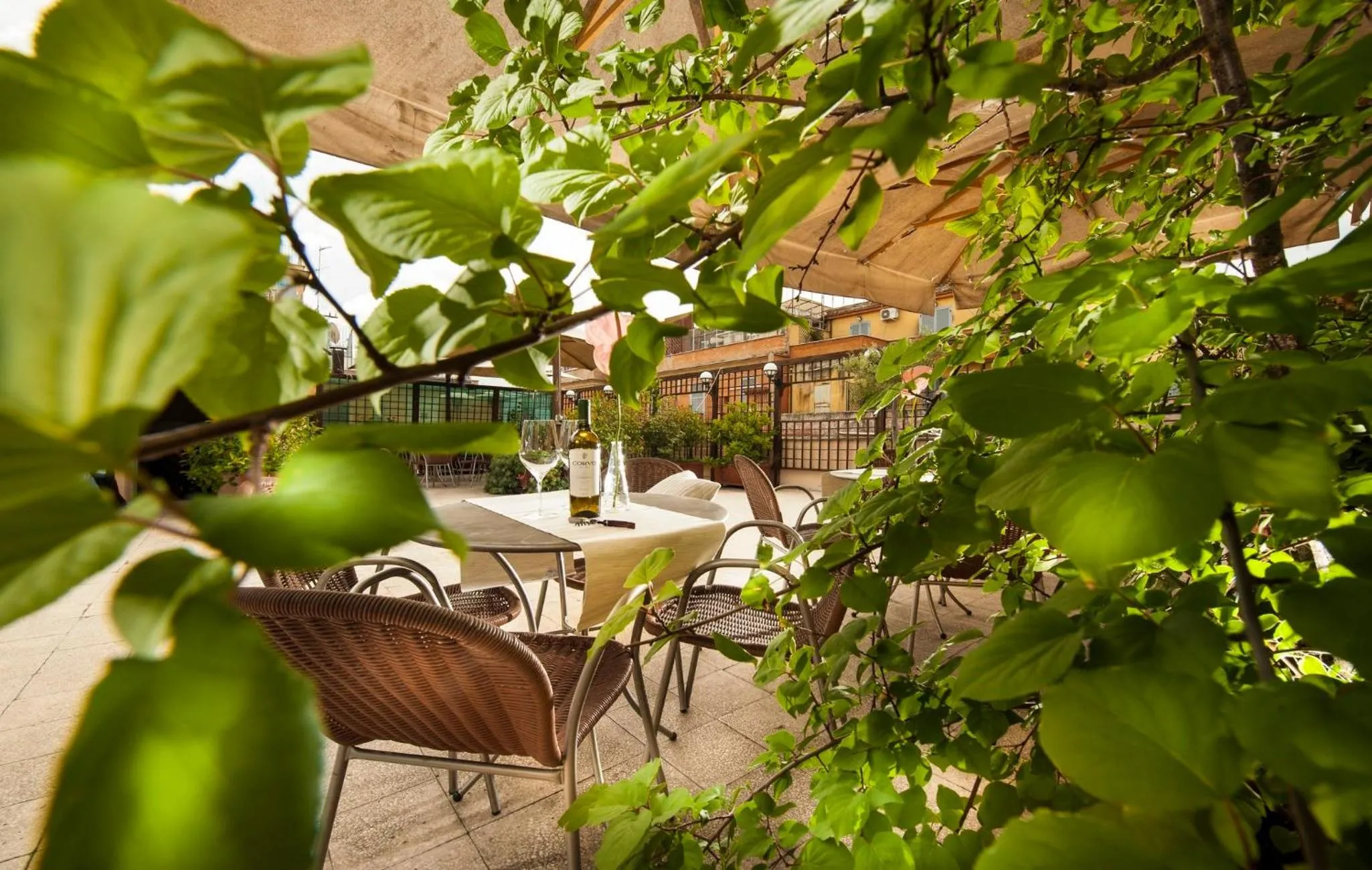 Balcony/Terrace in Budget Rooms Des Arts