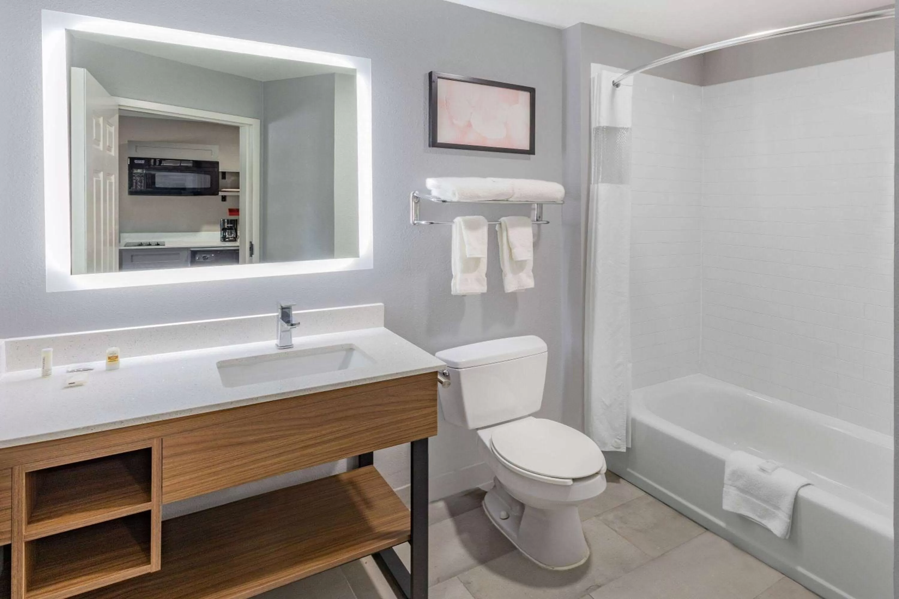 Bathroom in Hawthorn Extended Stay by Wyndham Ardmore