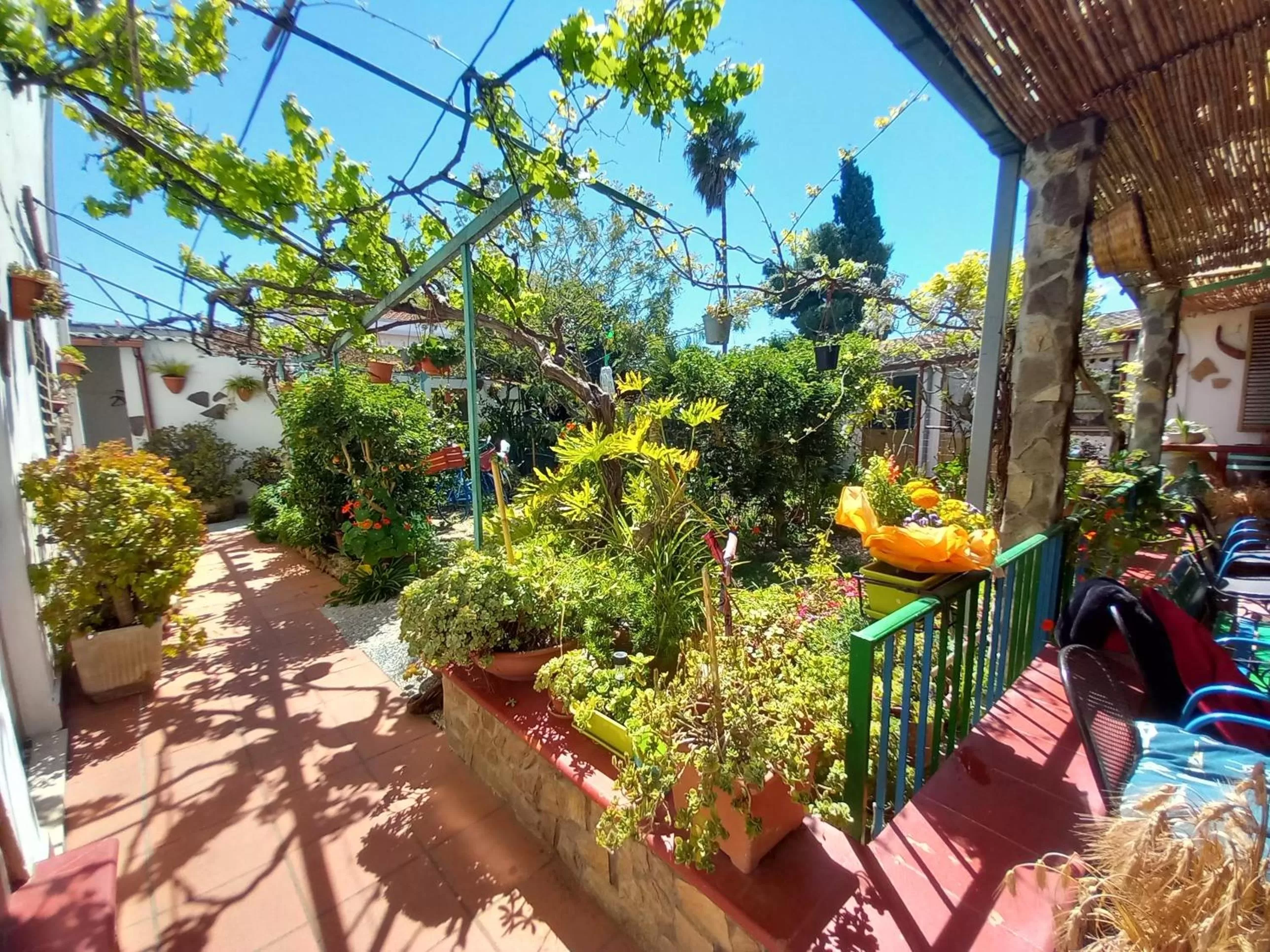 Garden view in Bed & Breakfast Paui