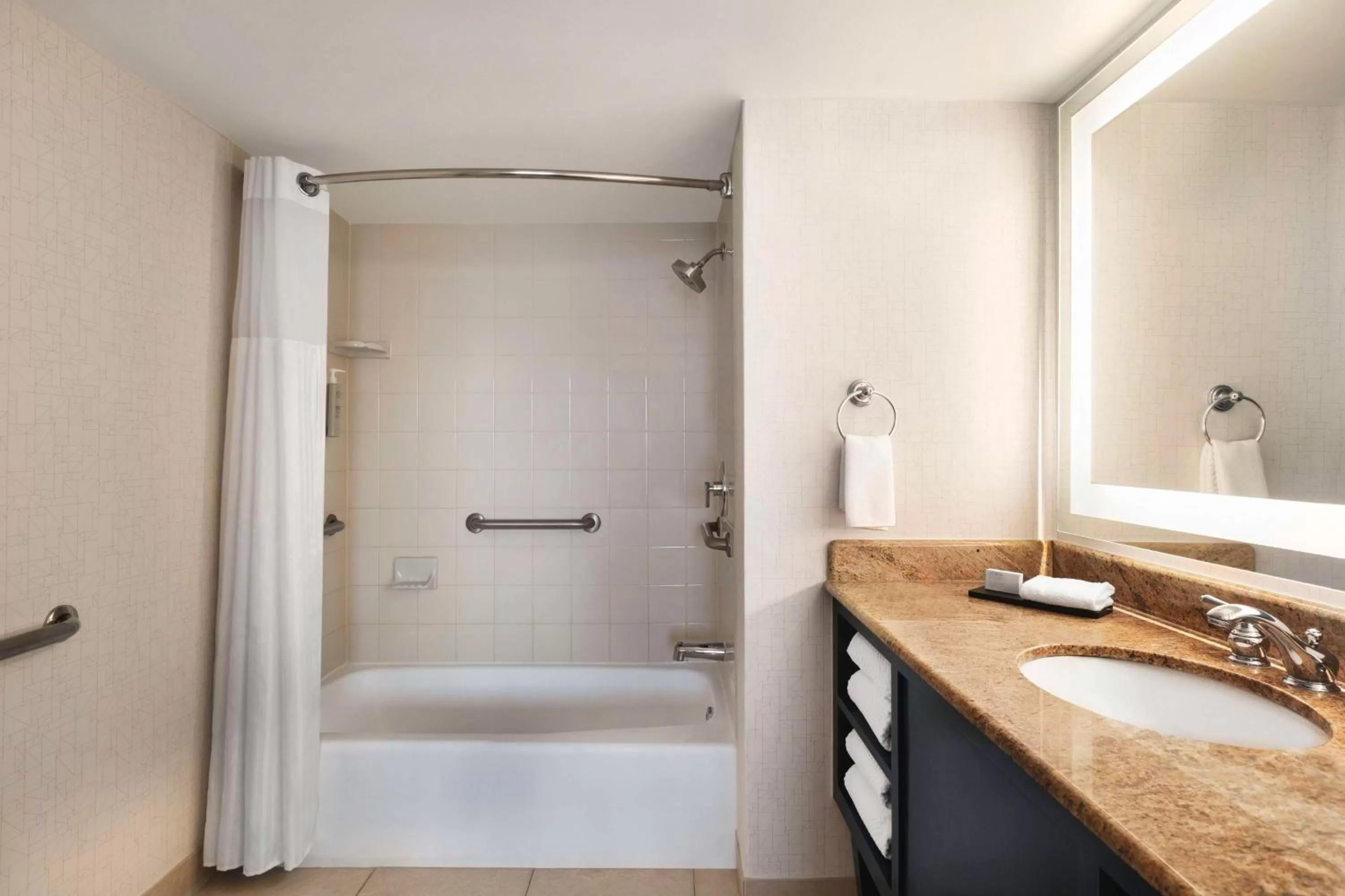 Bathroom in Embassy Suites by Hilton Miami International Airport