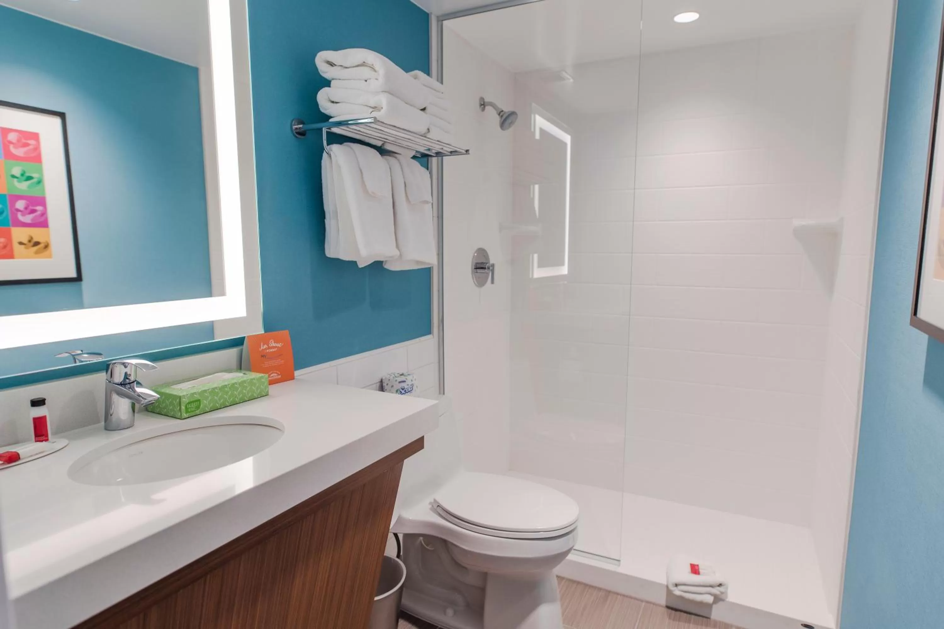 Shower in Howard Johnson by Wyndham Anaheim Hotel & Water Playground