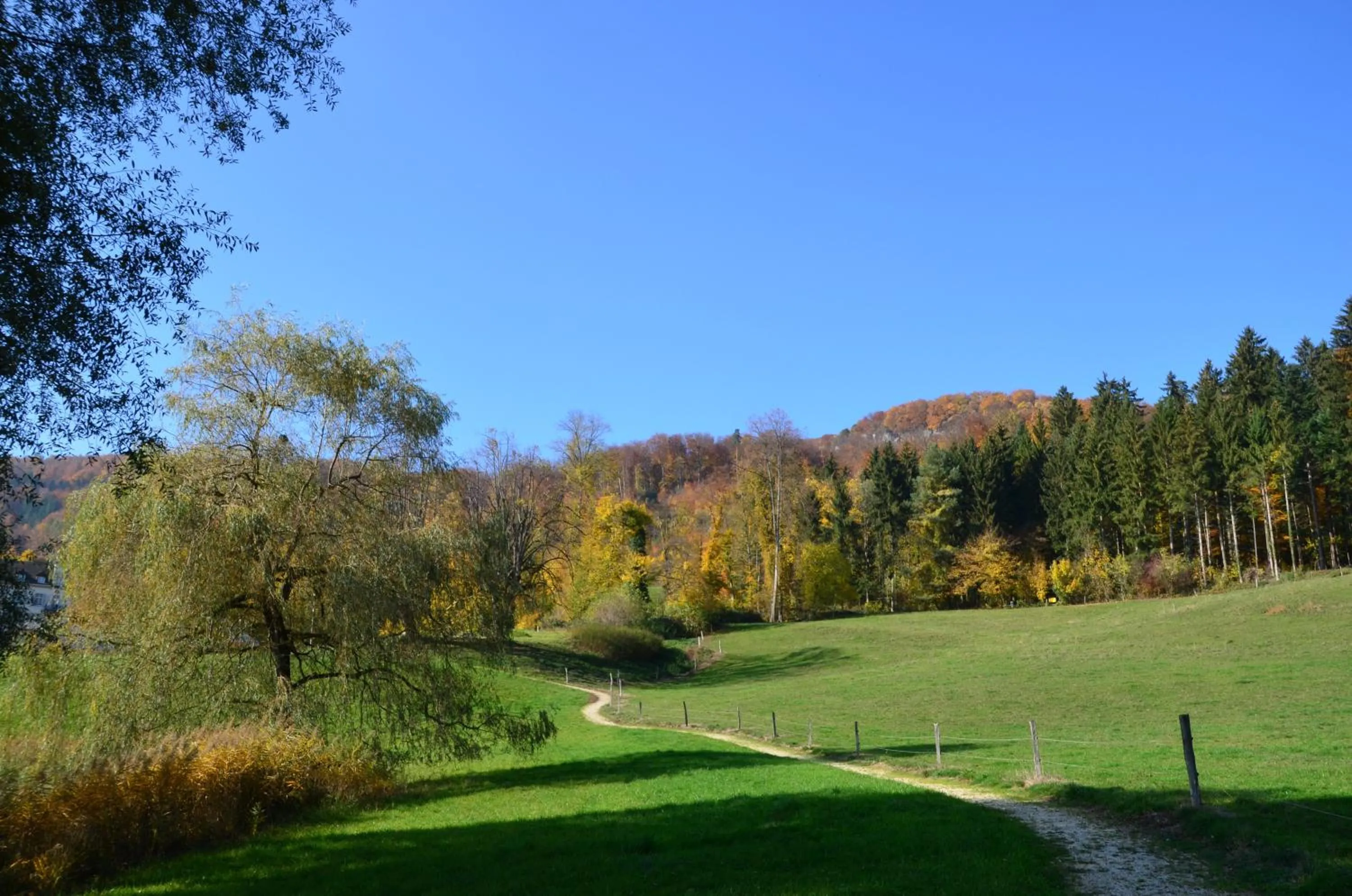 Day in Bad Schauenburg