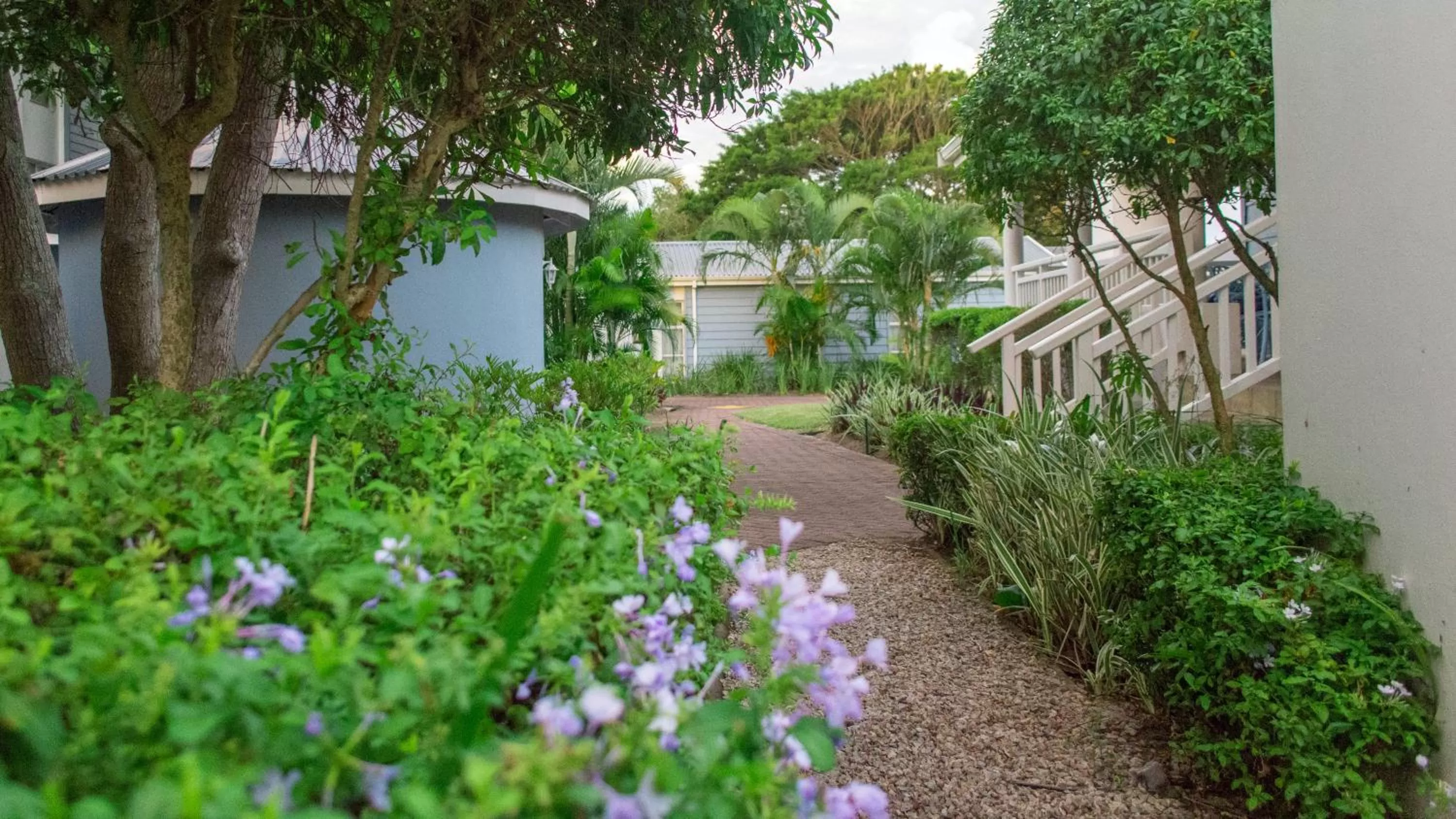 Garden in Premier Splendid Inn Bayshore