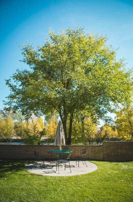 Garden in The Stagecoach Inn