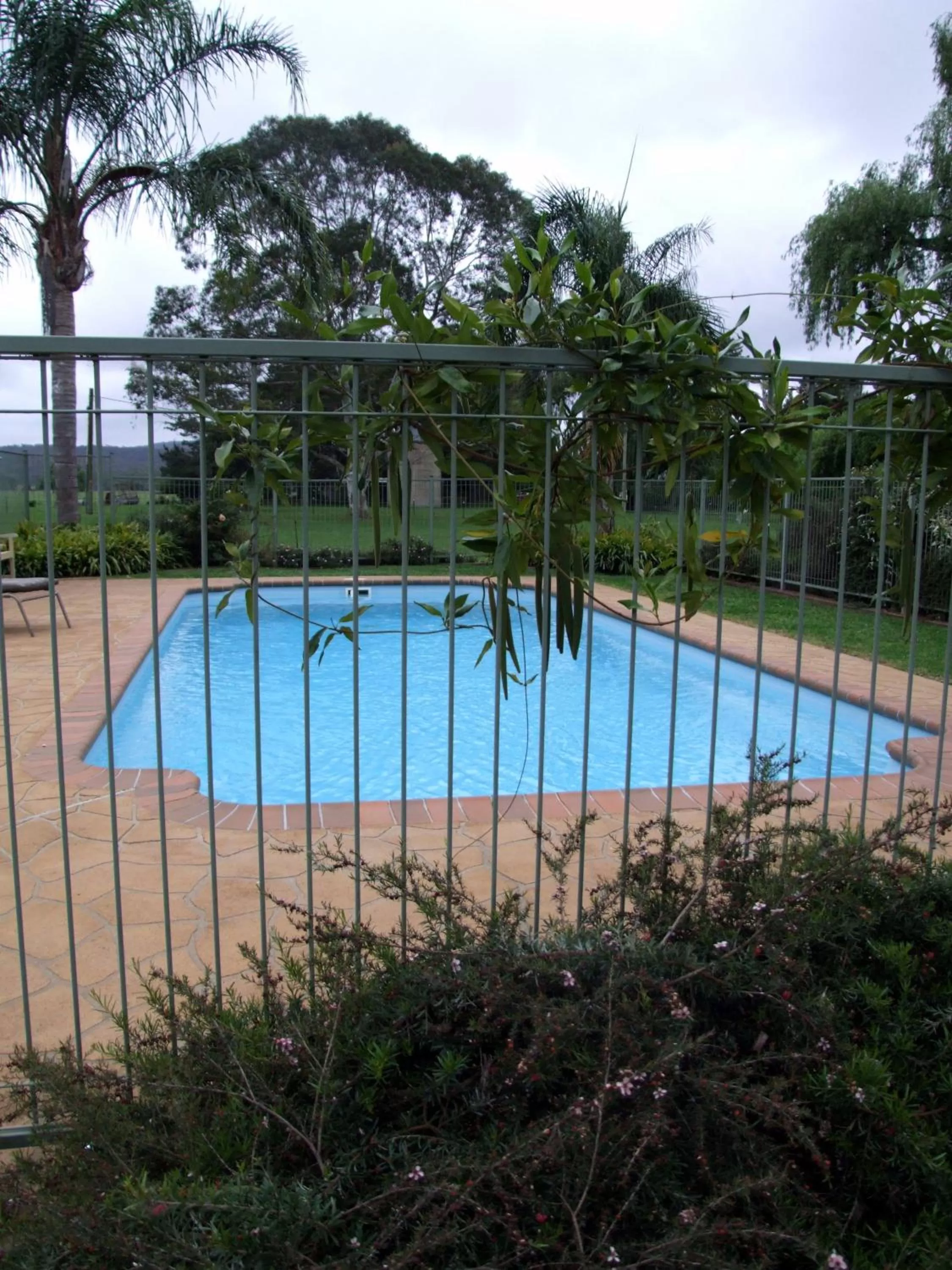 Swimming pool in Moruya Motel