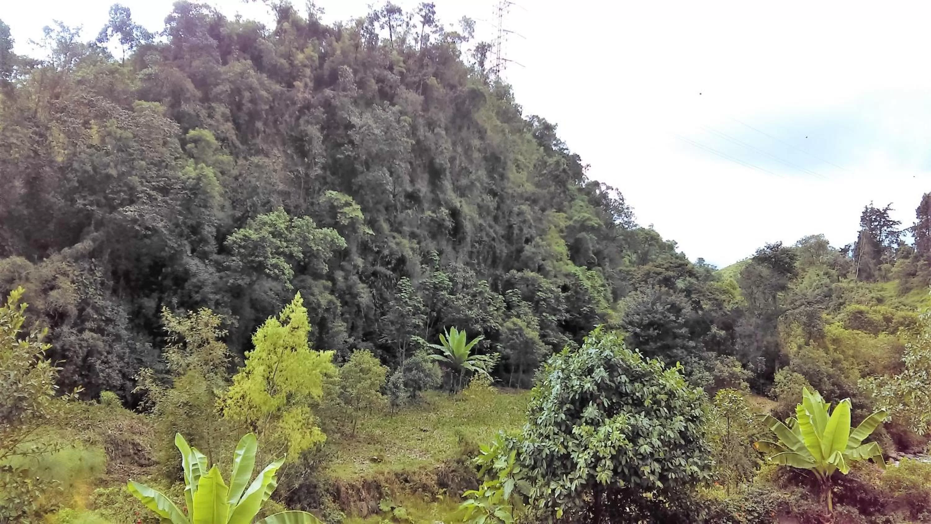 On site in Hotel Termales Tierra Viva