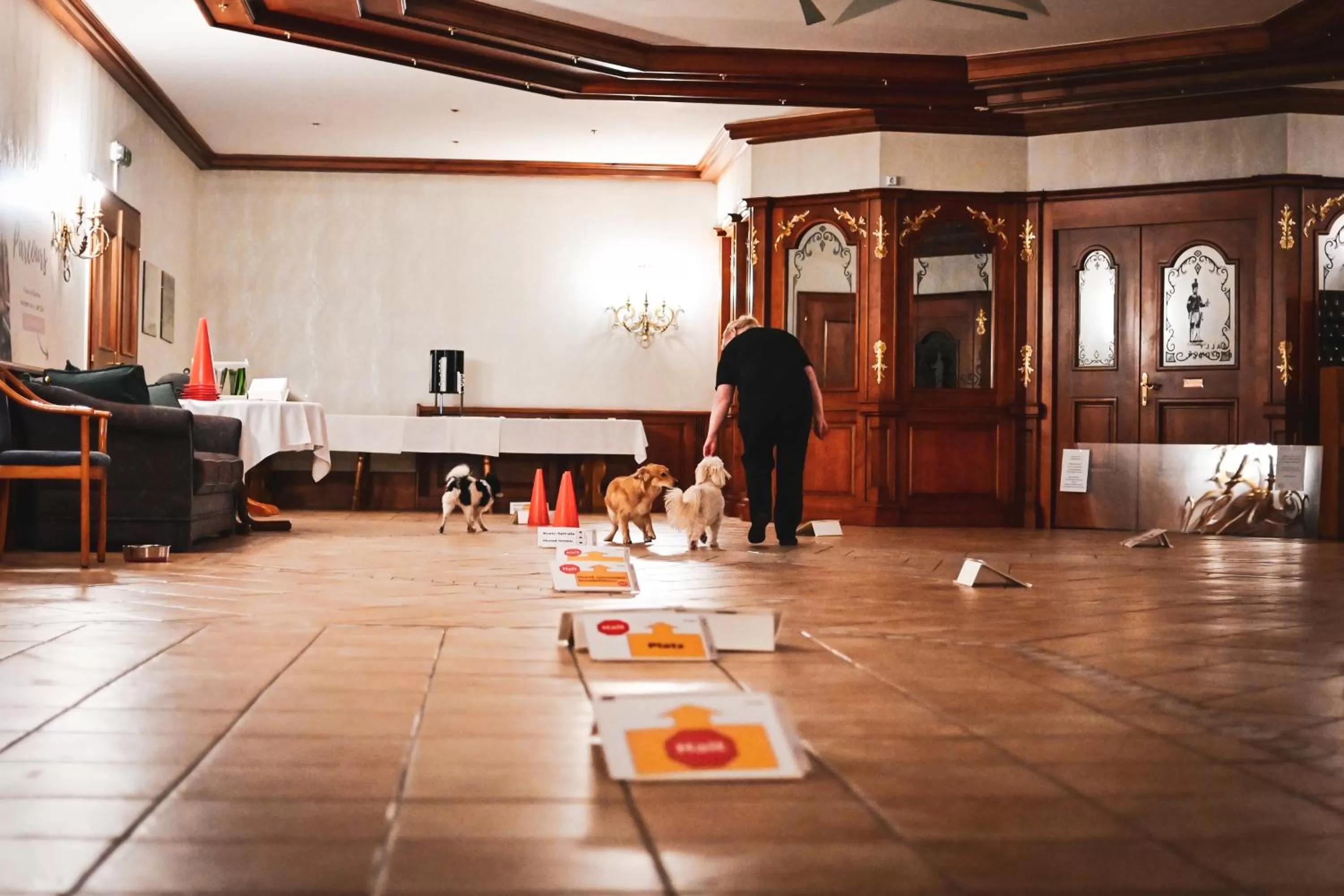 Activities in Berghotel Steiger - Erzgebirge