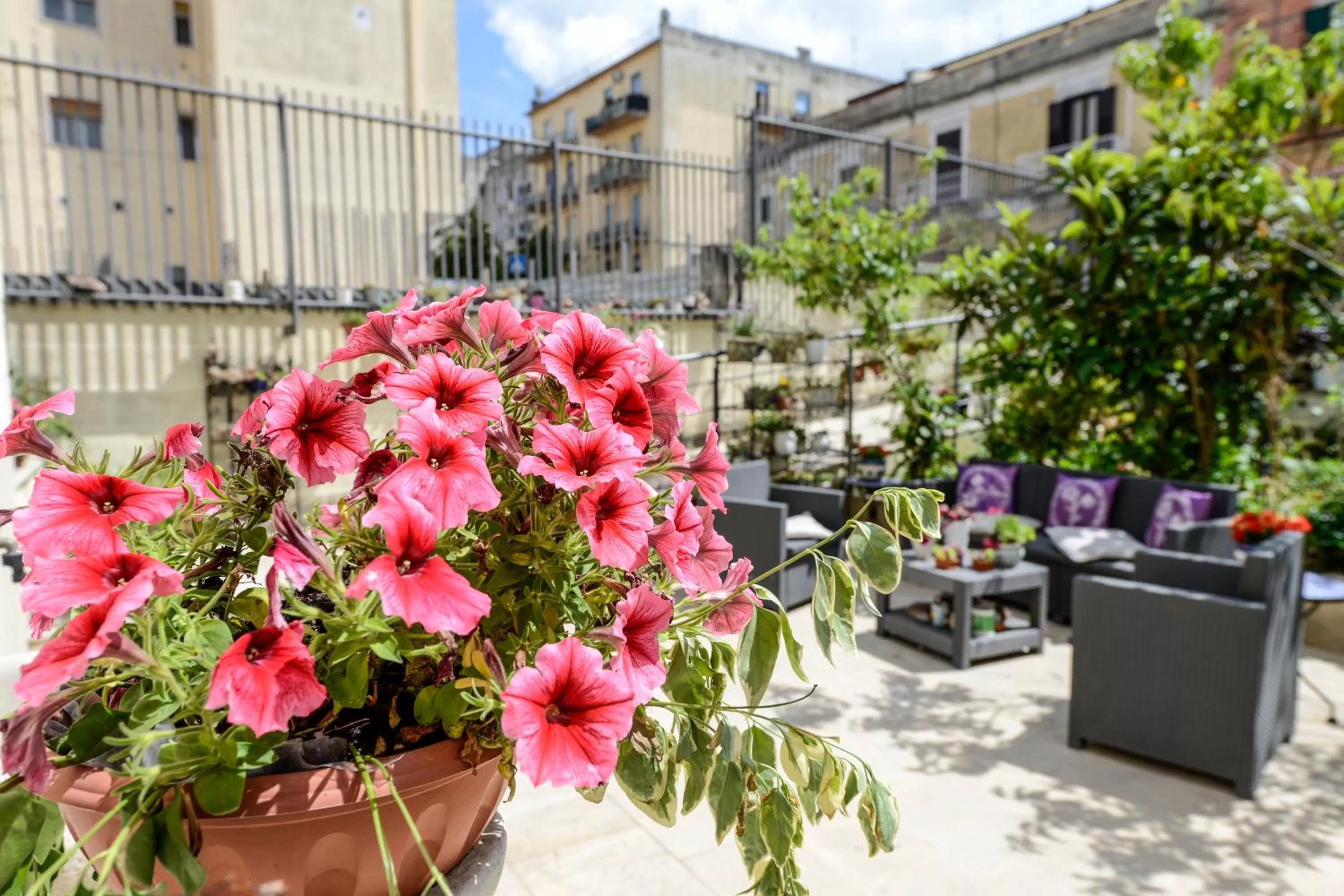 Garden in Il Giardino Incantato