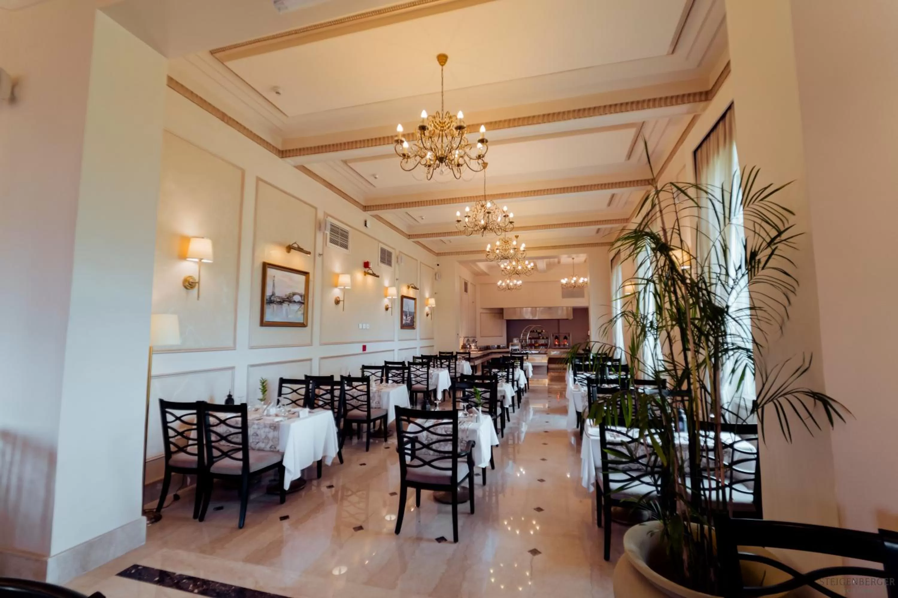 Restaurant/places to eat in Steigenberger Cecil Hotel Alexandria