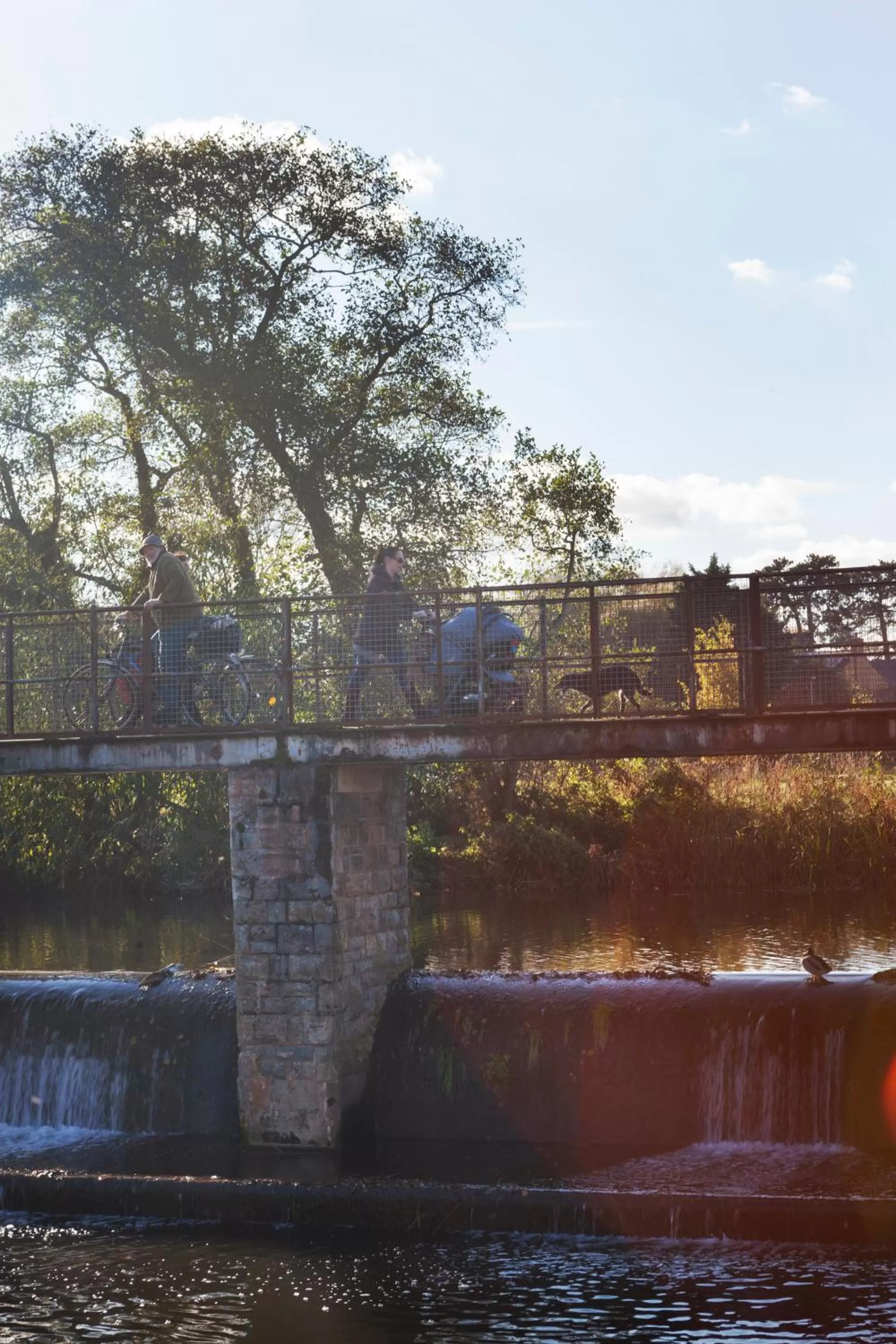 Natural landscape in The Corner House Hotel