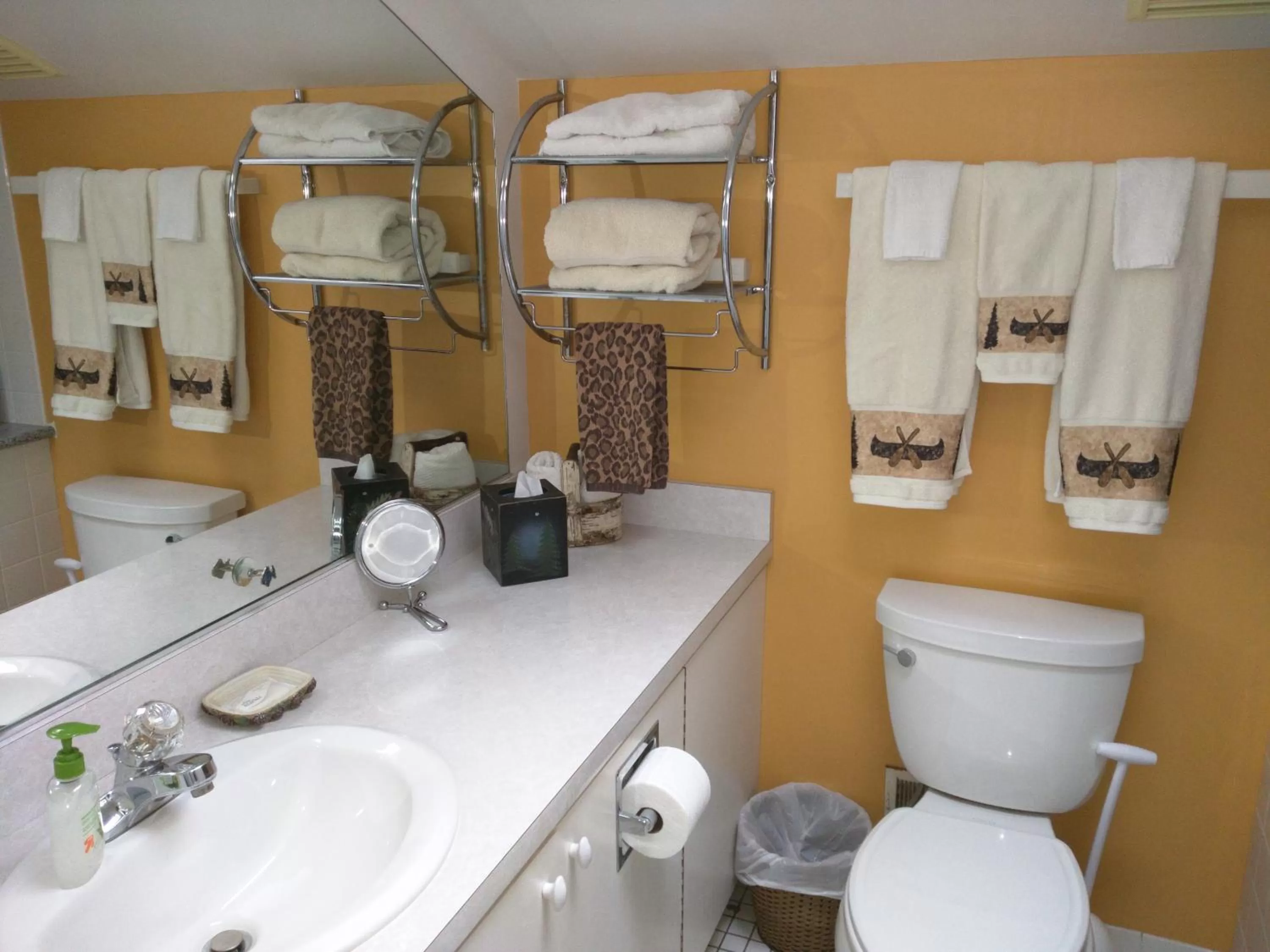 Bathroom in Ann Arbor Bed and Breakfast