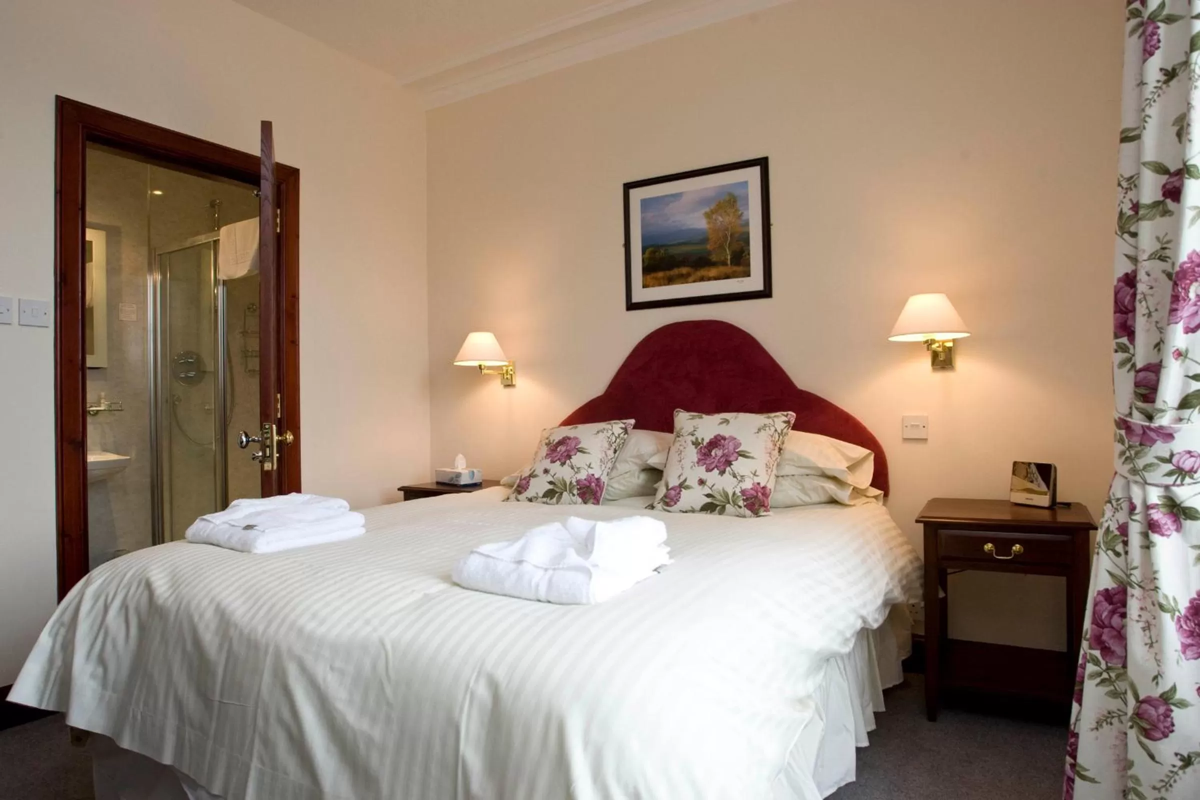 Double Room - single occupancy in The Ship Inn