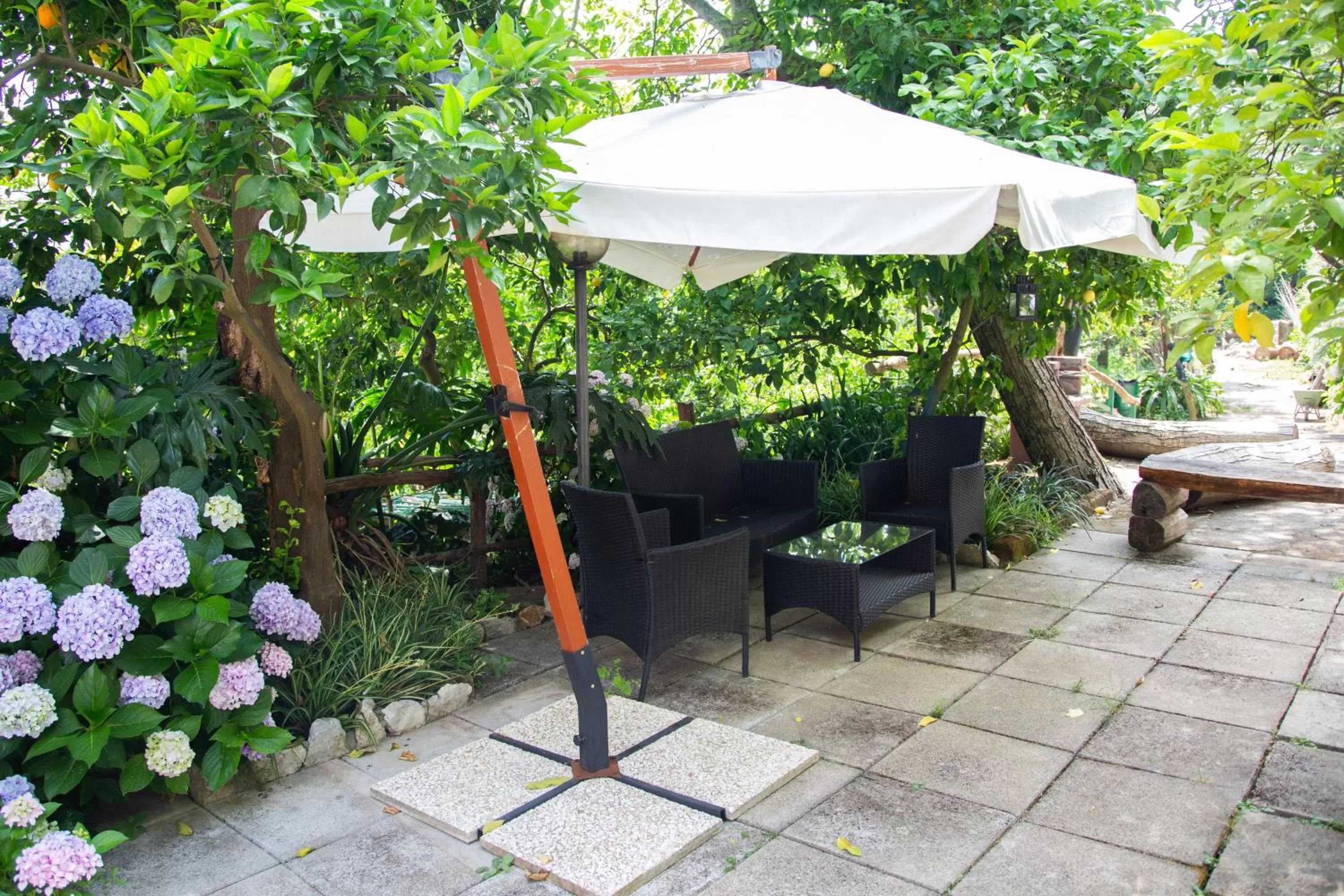 B&b L' Arancio in fiore