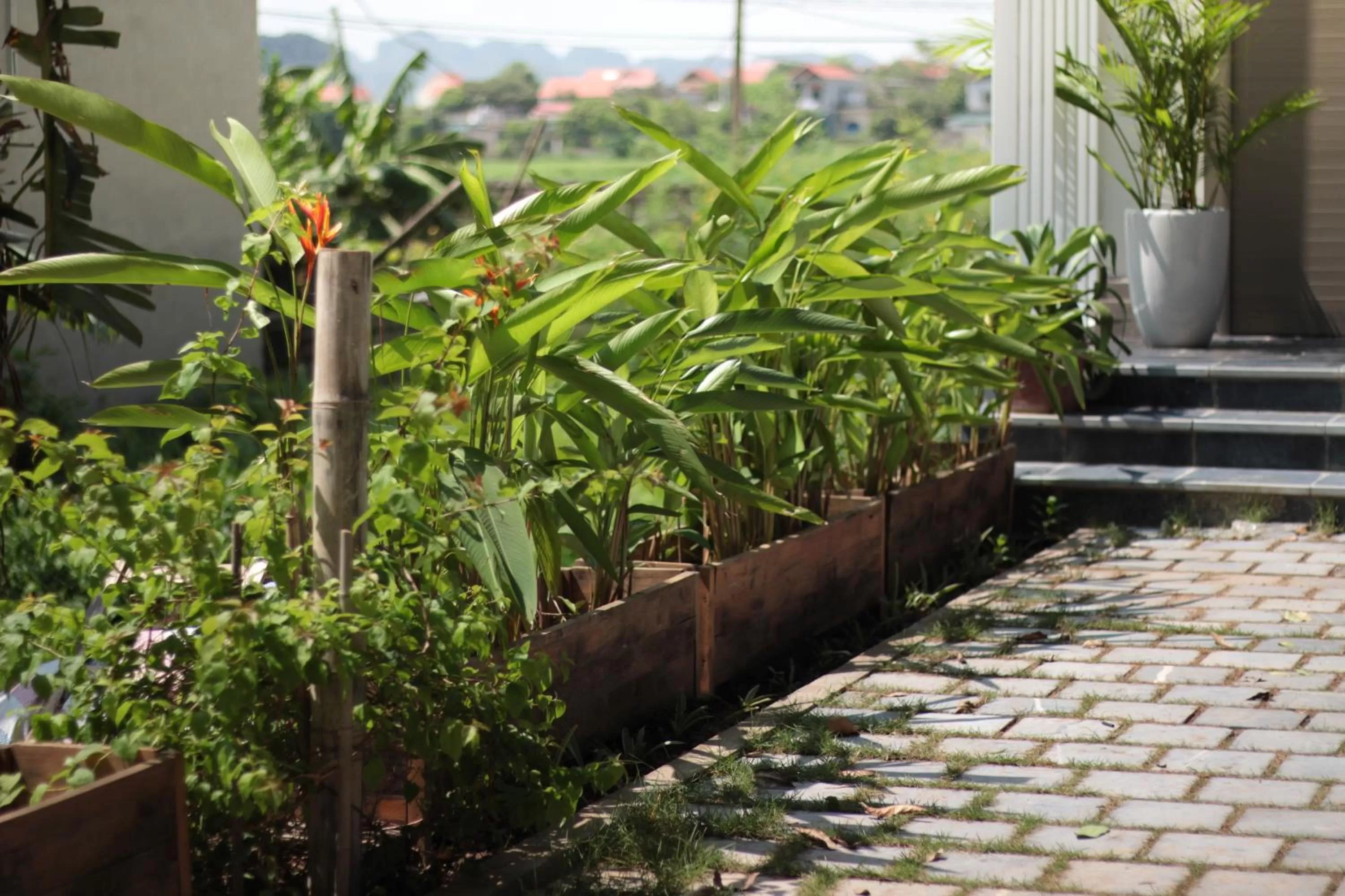 Facade/entrance in ᴛᴀᴍ ᴄᴏᴄ ᴄᴏᴄᴏᴏɴ ʜᴏᴍᴇsᴛᴀʏ