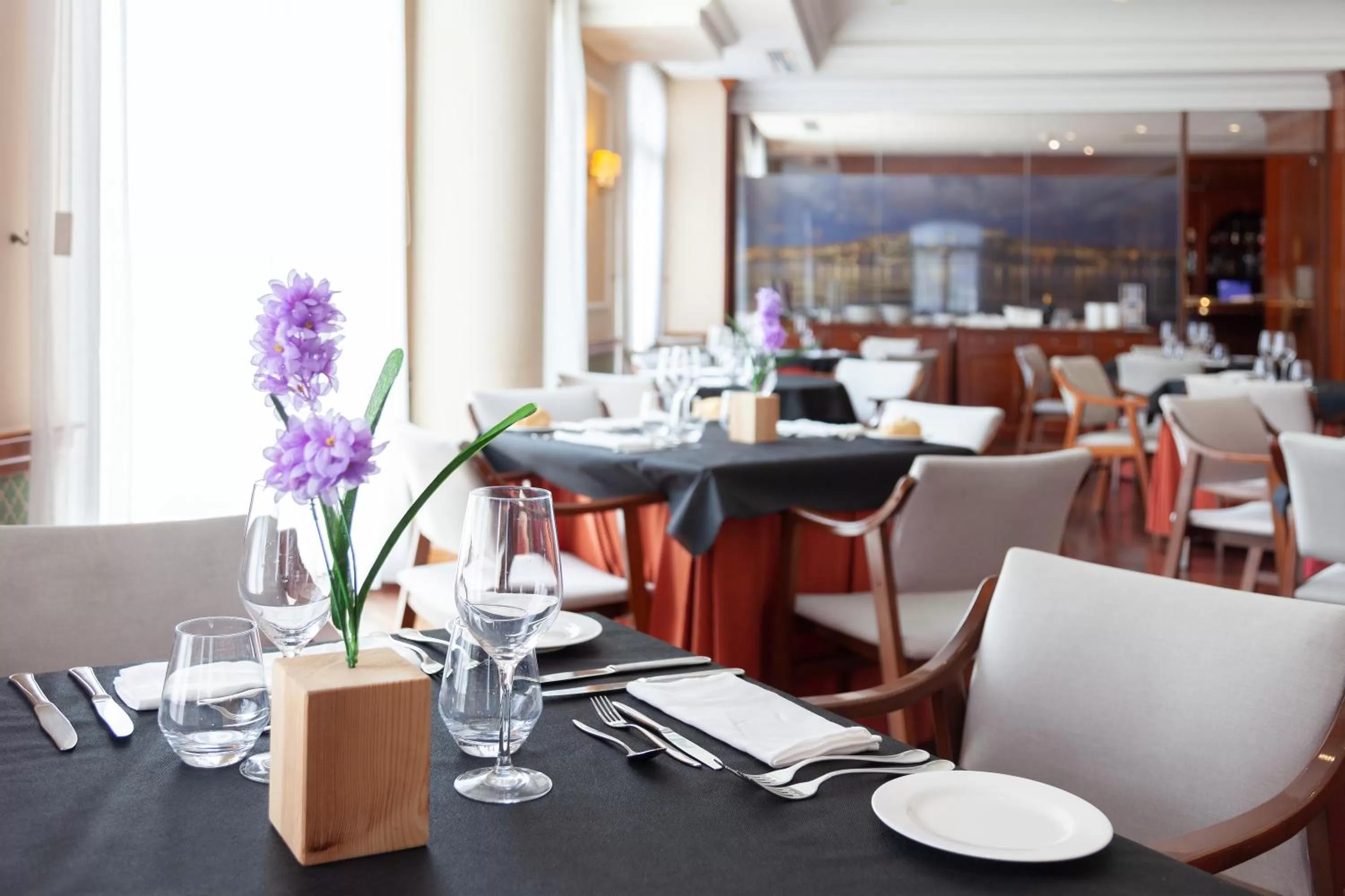 Restaurant/places to eat in Hotel Hoyuela