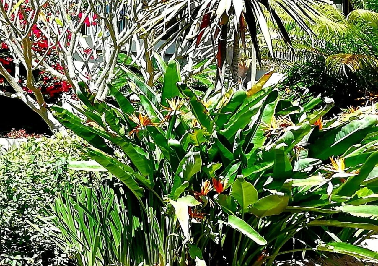 De Wingerd Wijnland Lodge