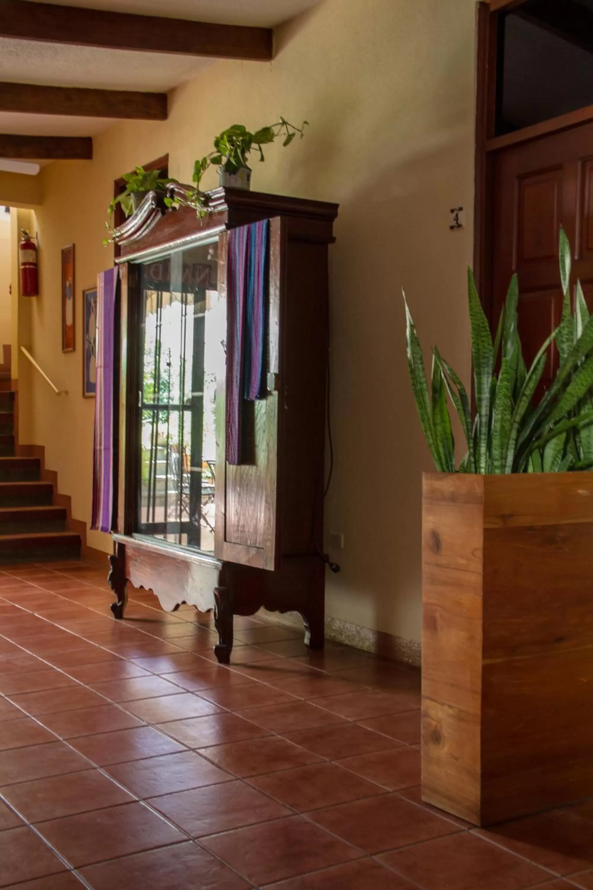 Decorative detail in Hotel Colibri