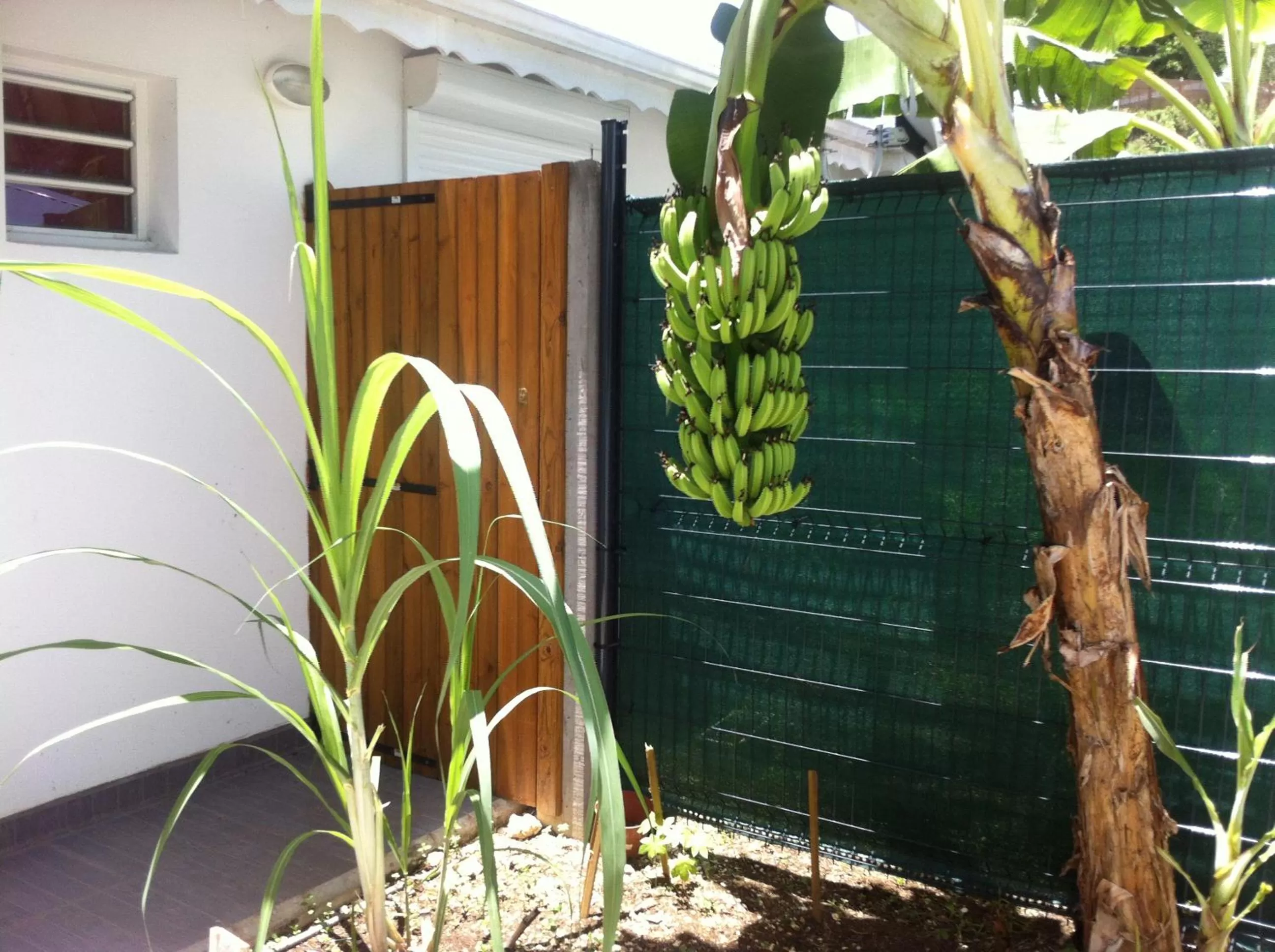 Garden in Le Saint Georges