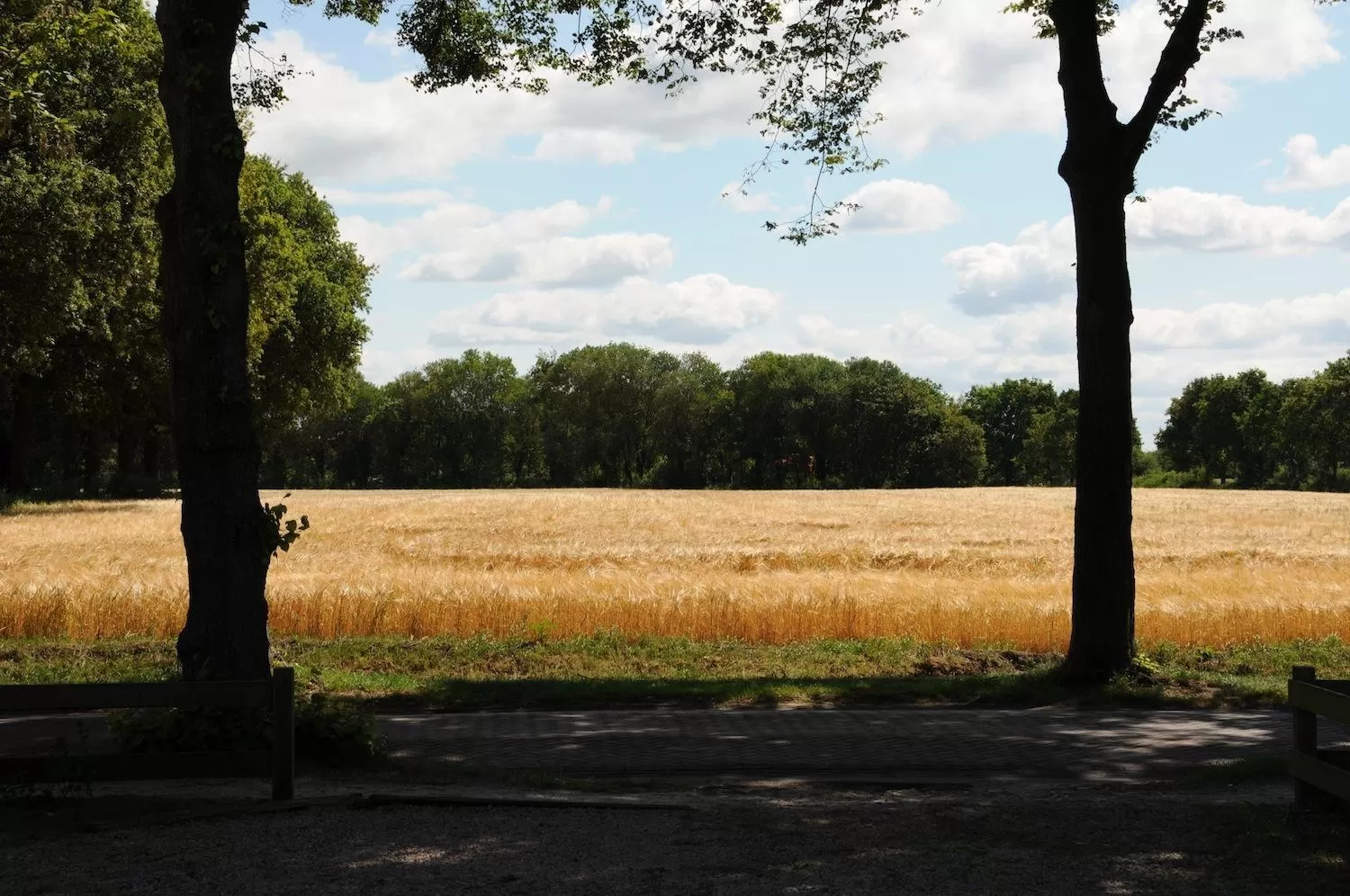 Neighbourhood in De Violier