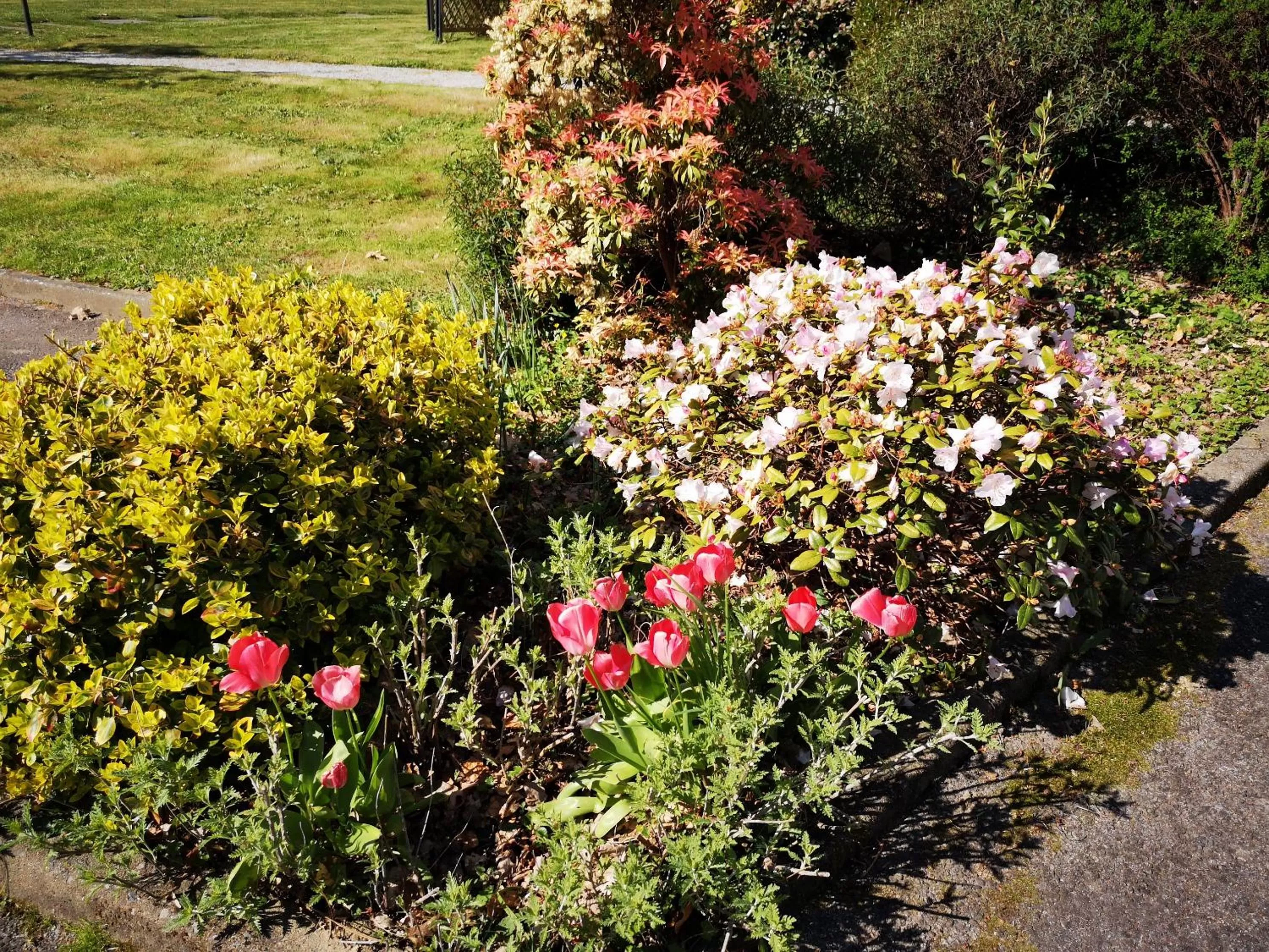 Garden view in Best Western Auray le Loch