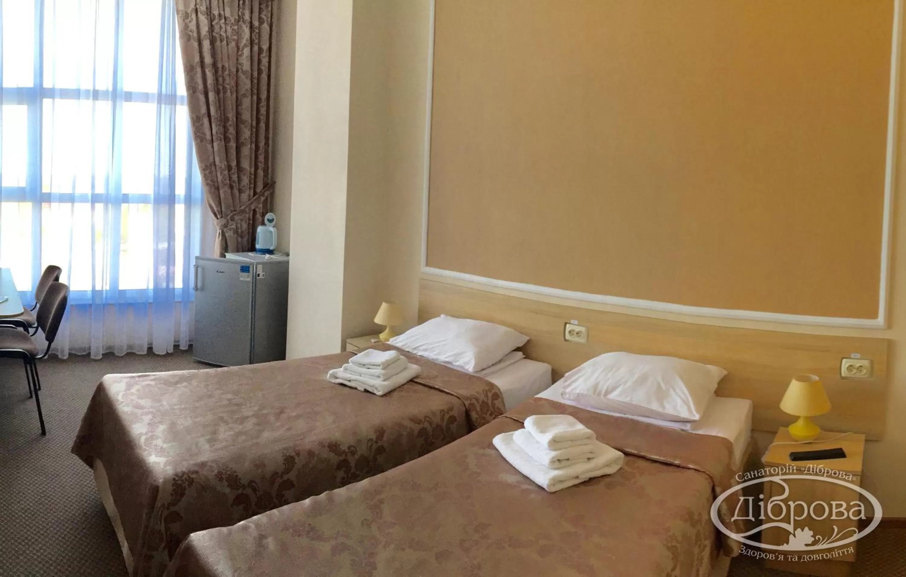 Twin Room - single occupancy in Dibrova