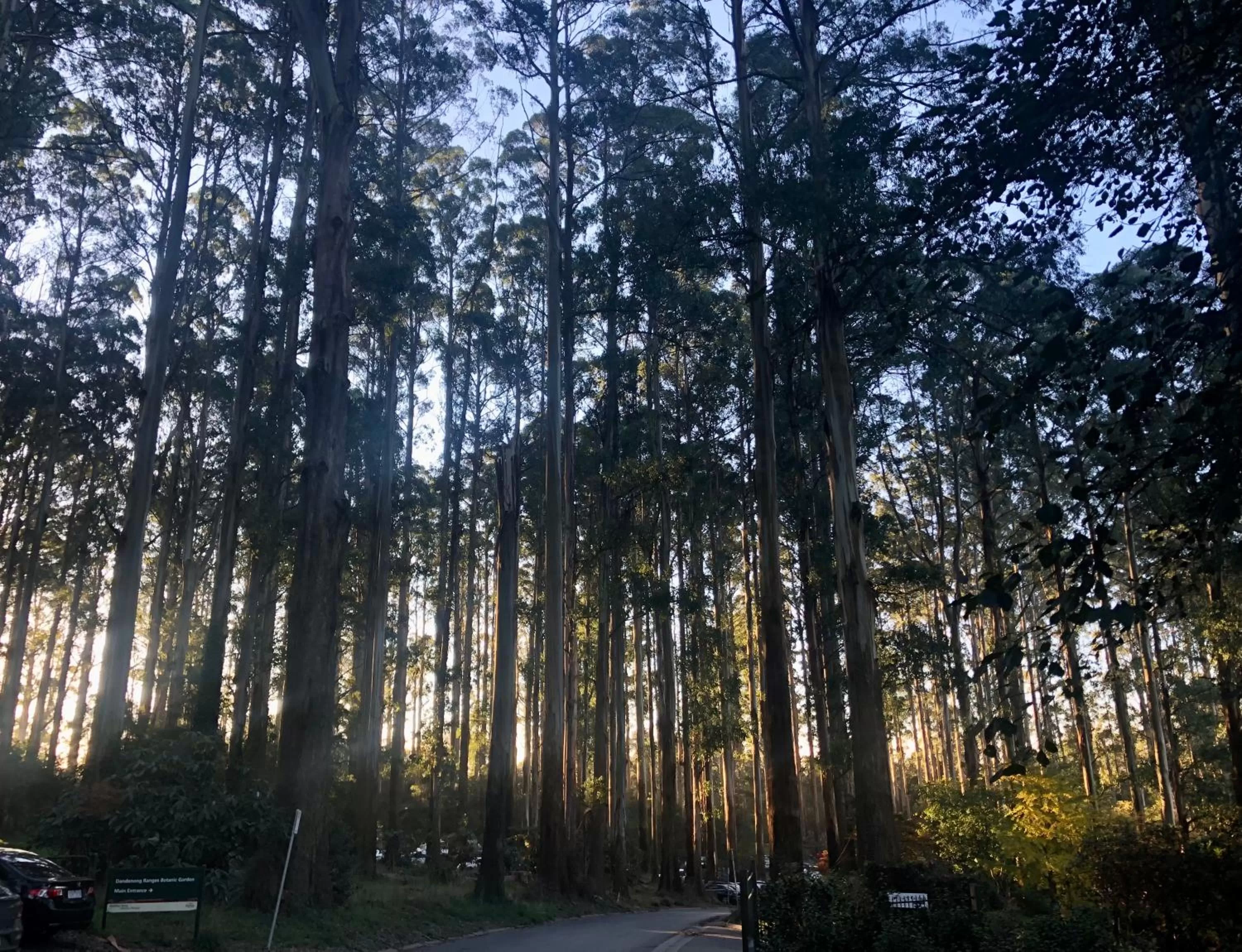 Natural landscape in Cambridge Cottages