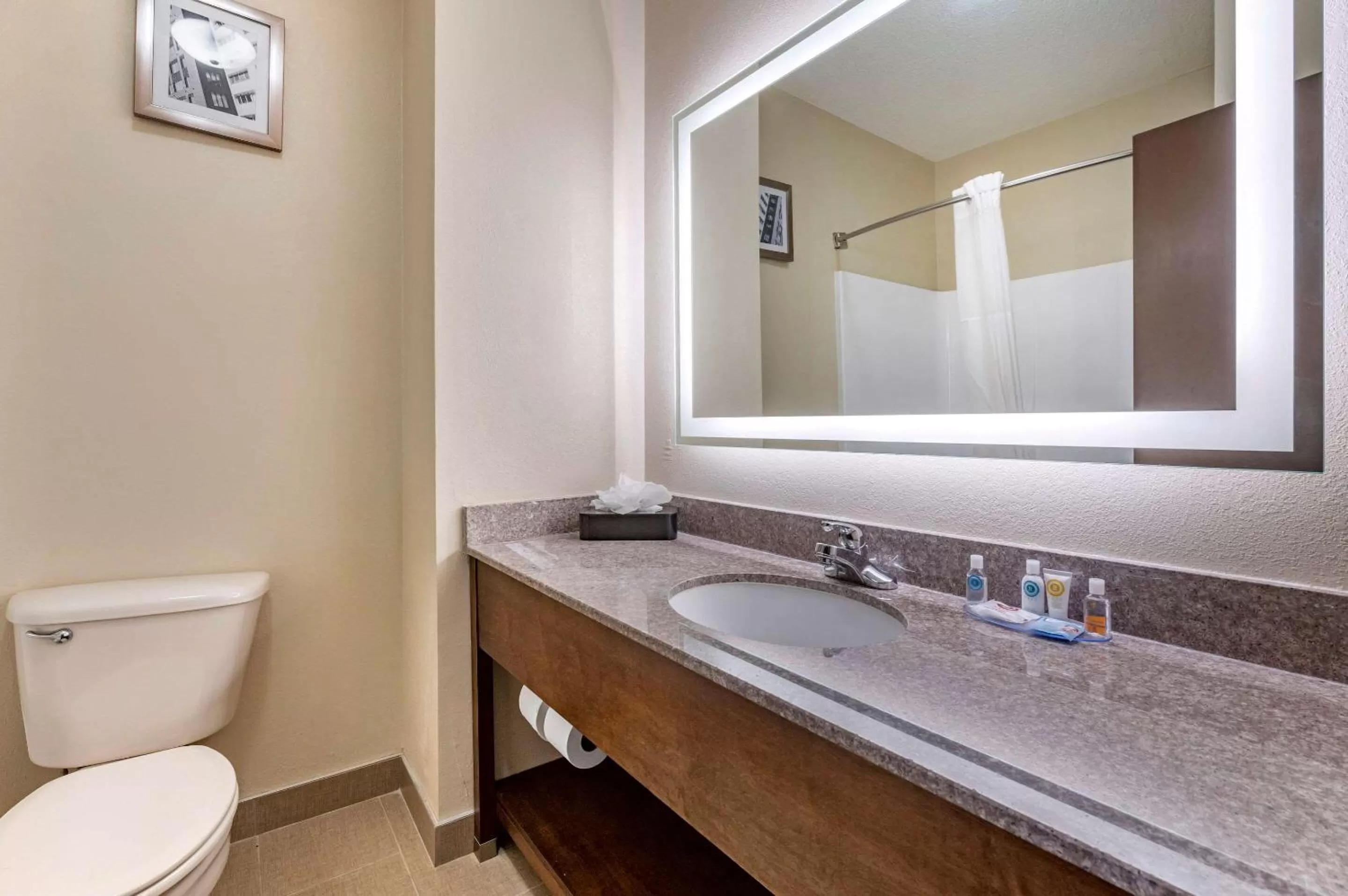 Bathroom in Comfort Inn & Suites Cincinnati Uptown Clifton