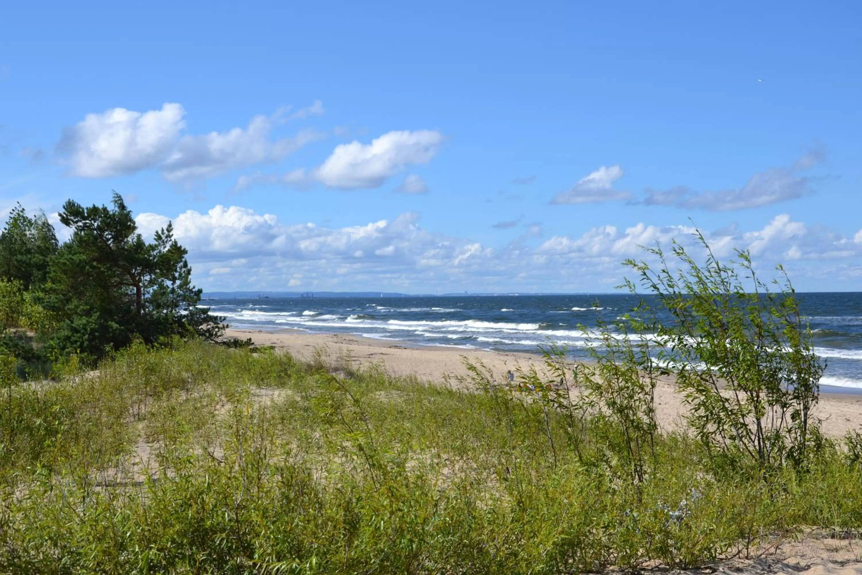 Neighbourhood in Hotel Bartan Gdansk Seaside