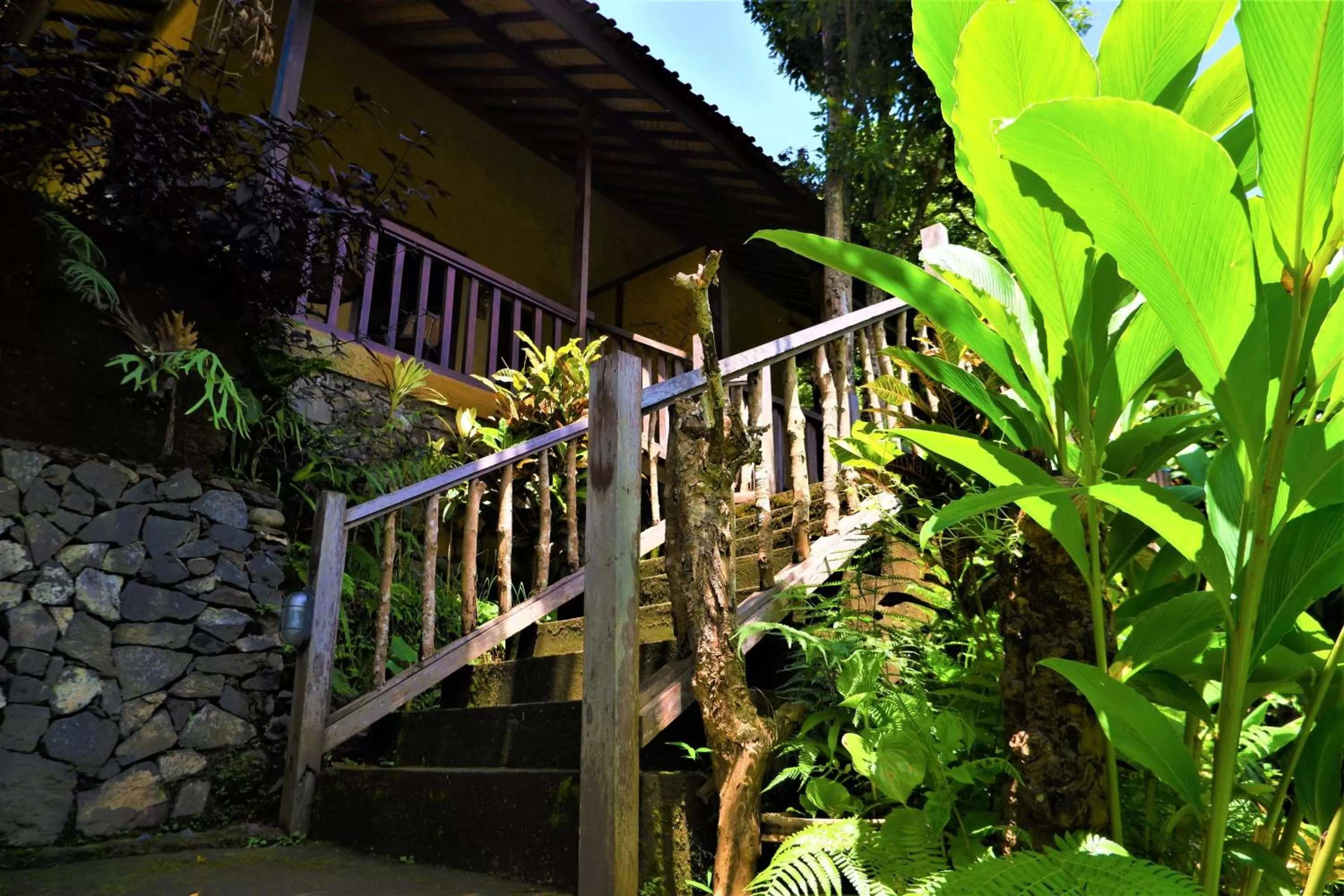 Property building in Swar Bali Lodge