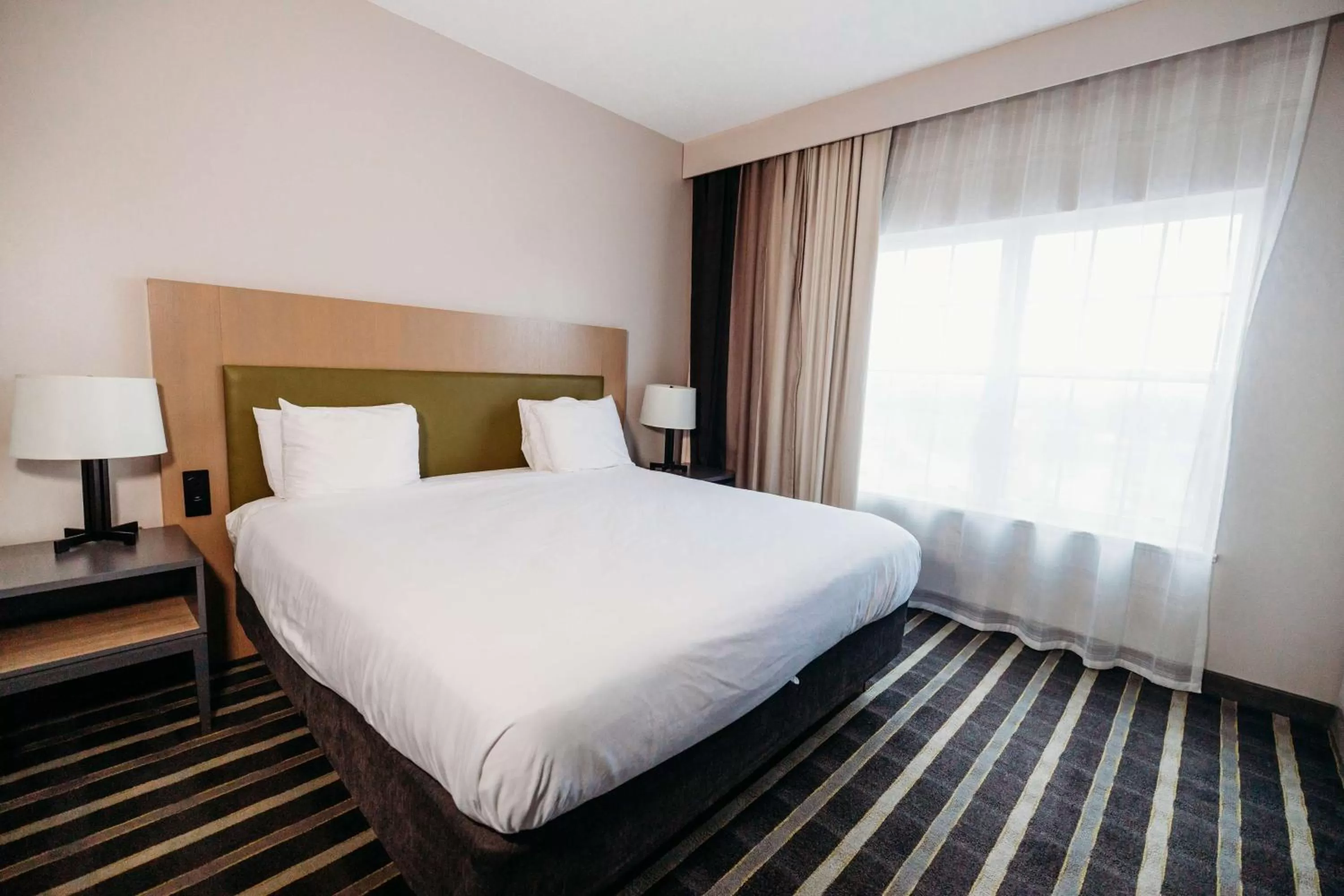 One-Bedroom King Suite with Sofa Bed - Non-Smoking in Country Inn & Suites by Radisson, Lancaster (Amish Country), PA