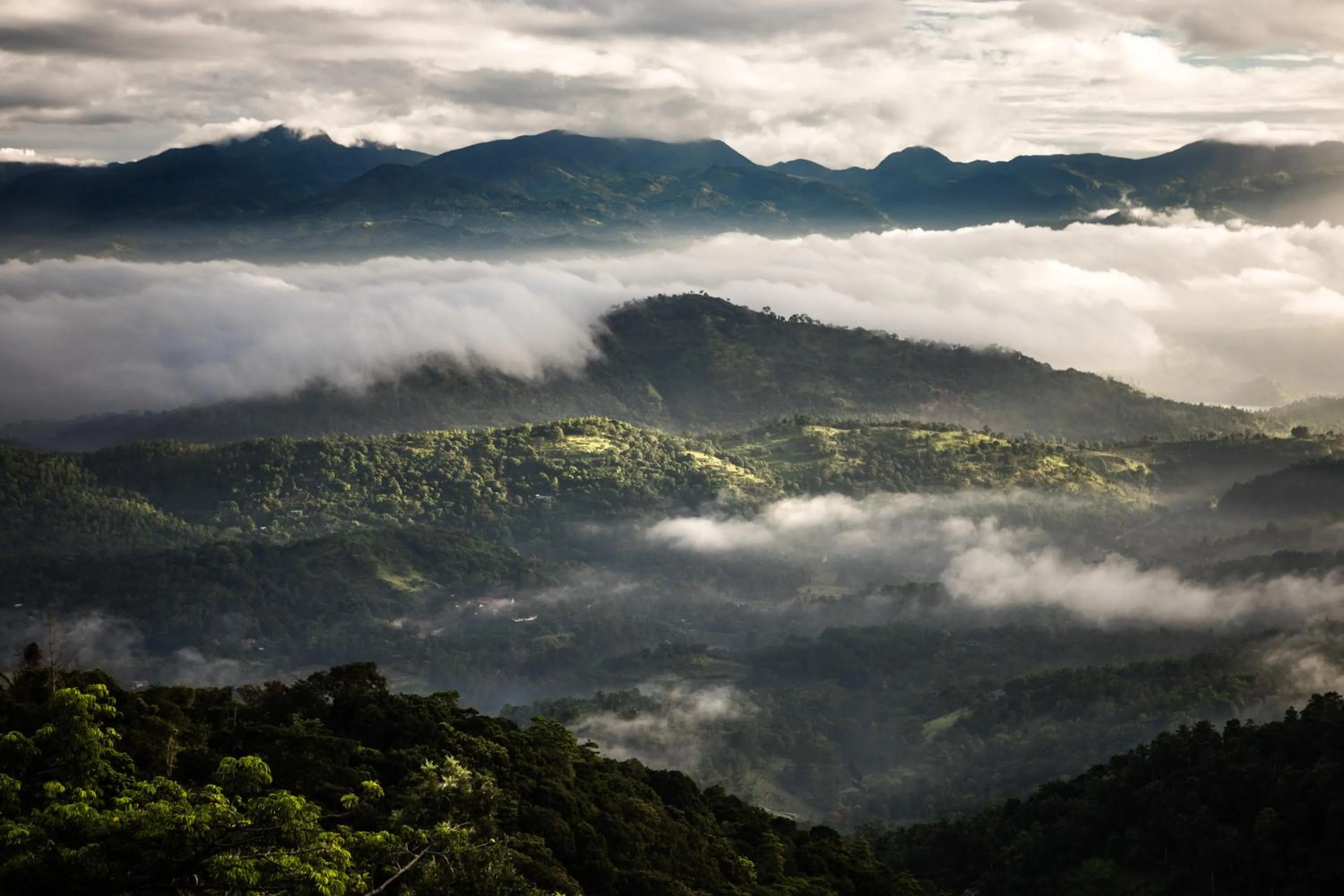 Mountain view in Yasmin Hill Longevity Oasis