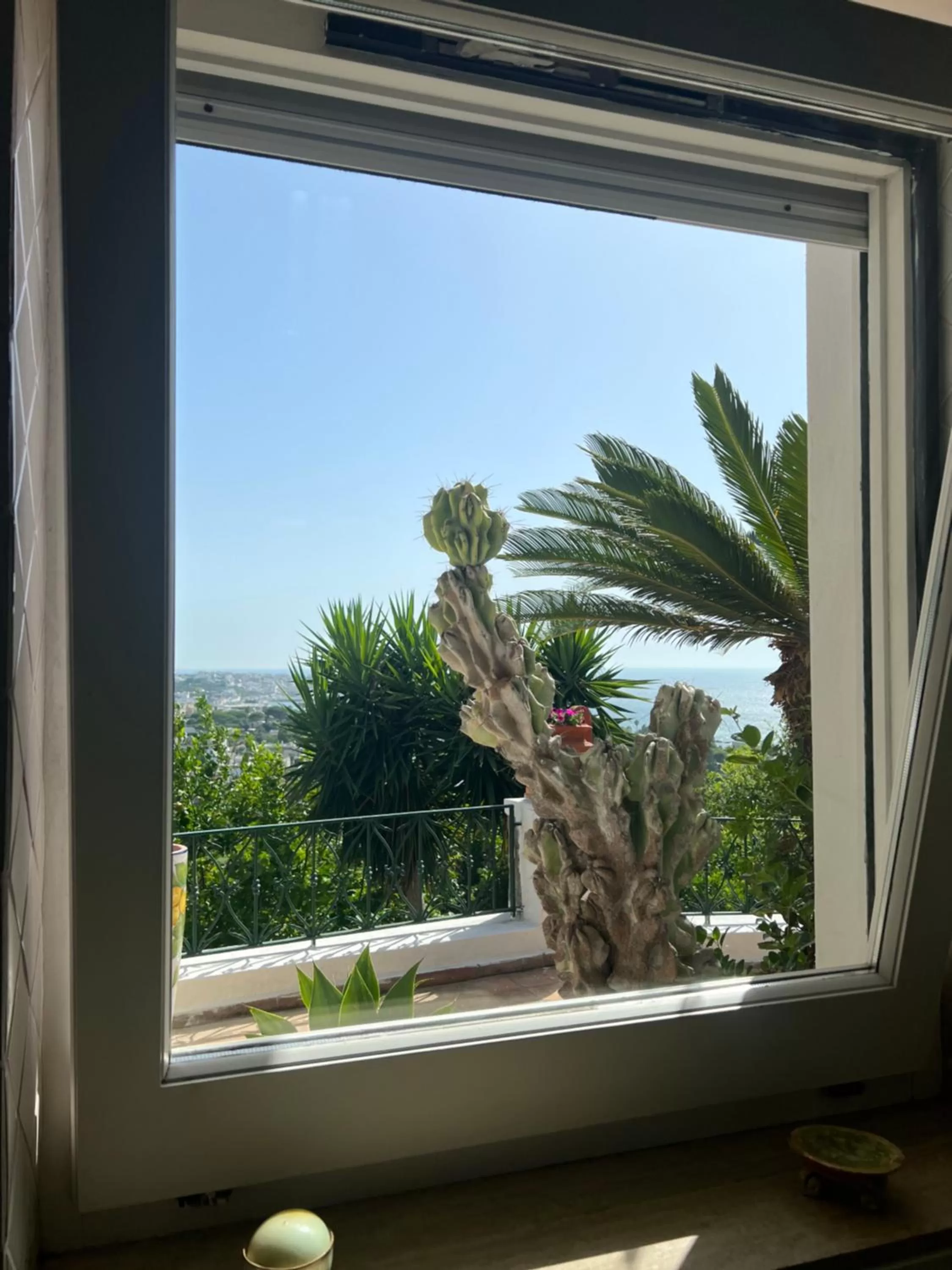 Sea view, View in Blu Panorama