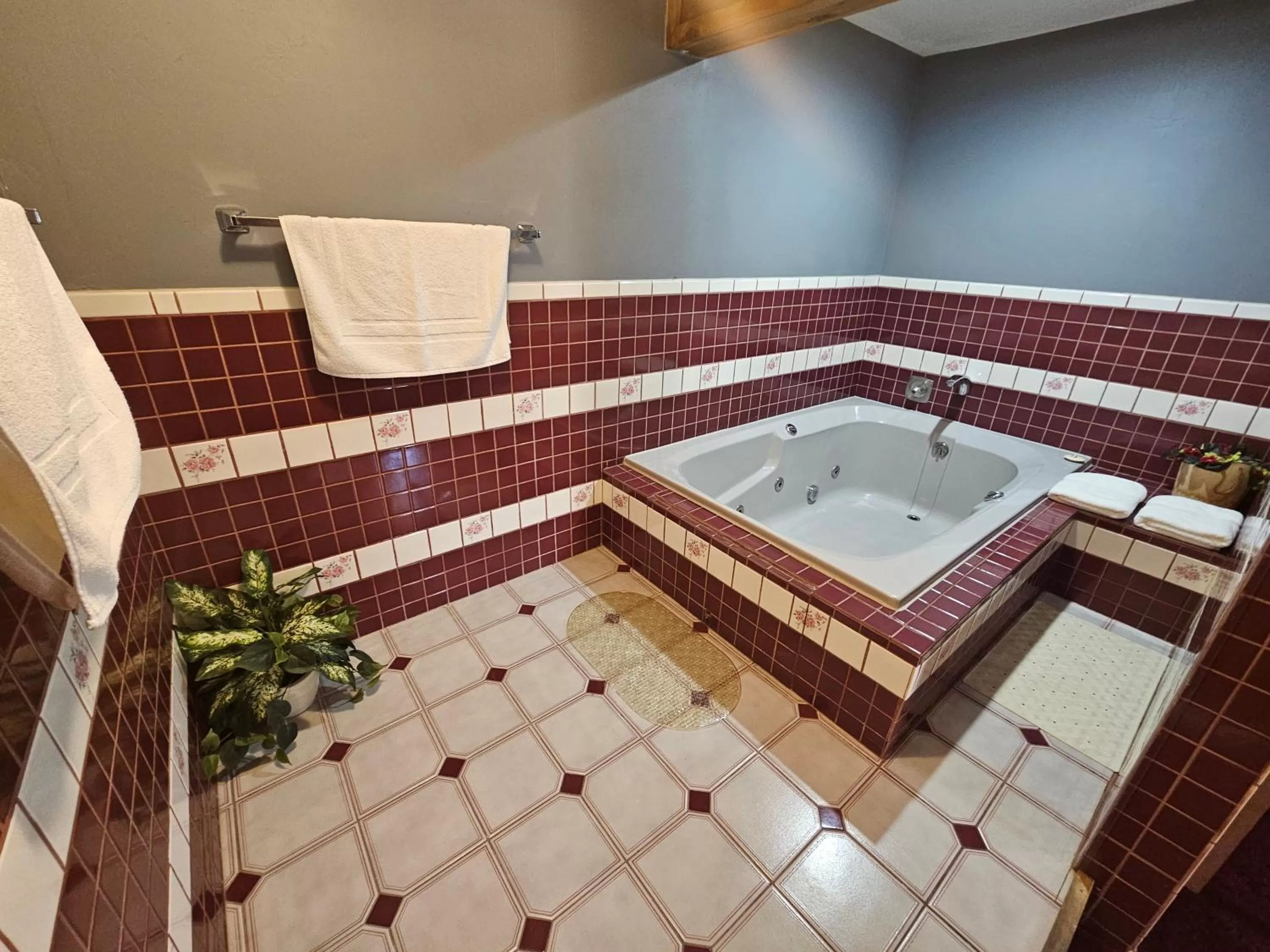 Standard Suite in Affordable Inns Evanston