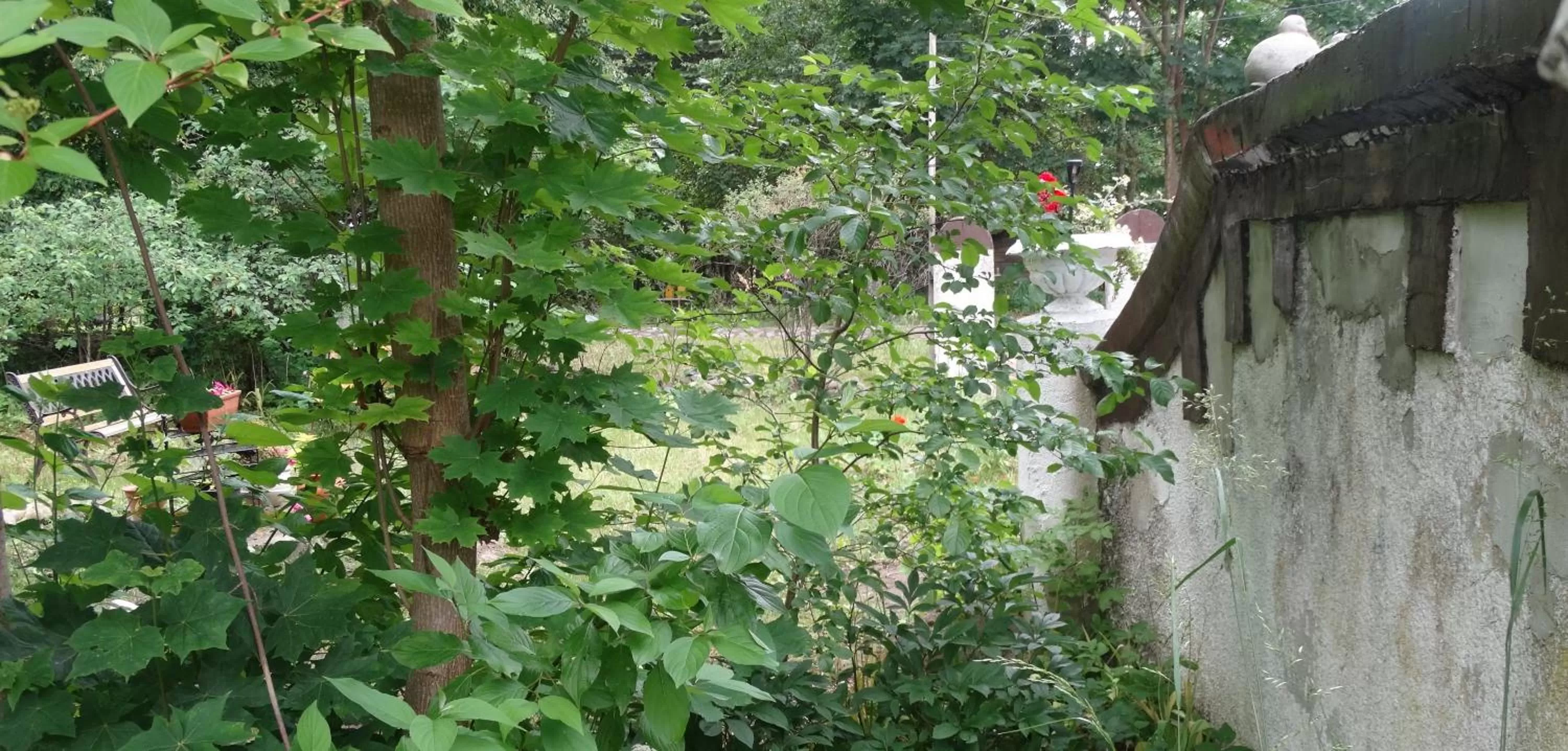 Spring in Dom na Mazurach Pilec