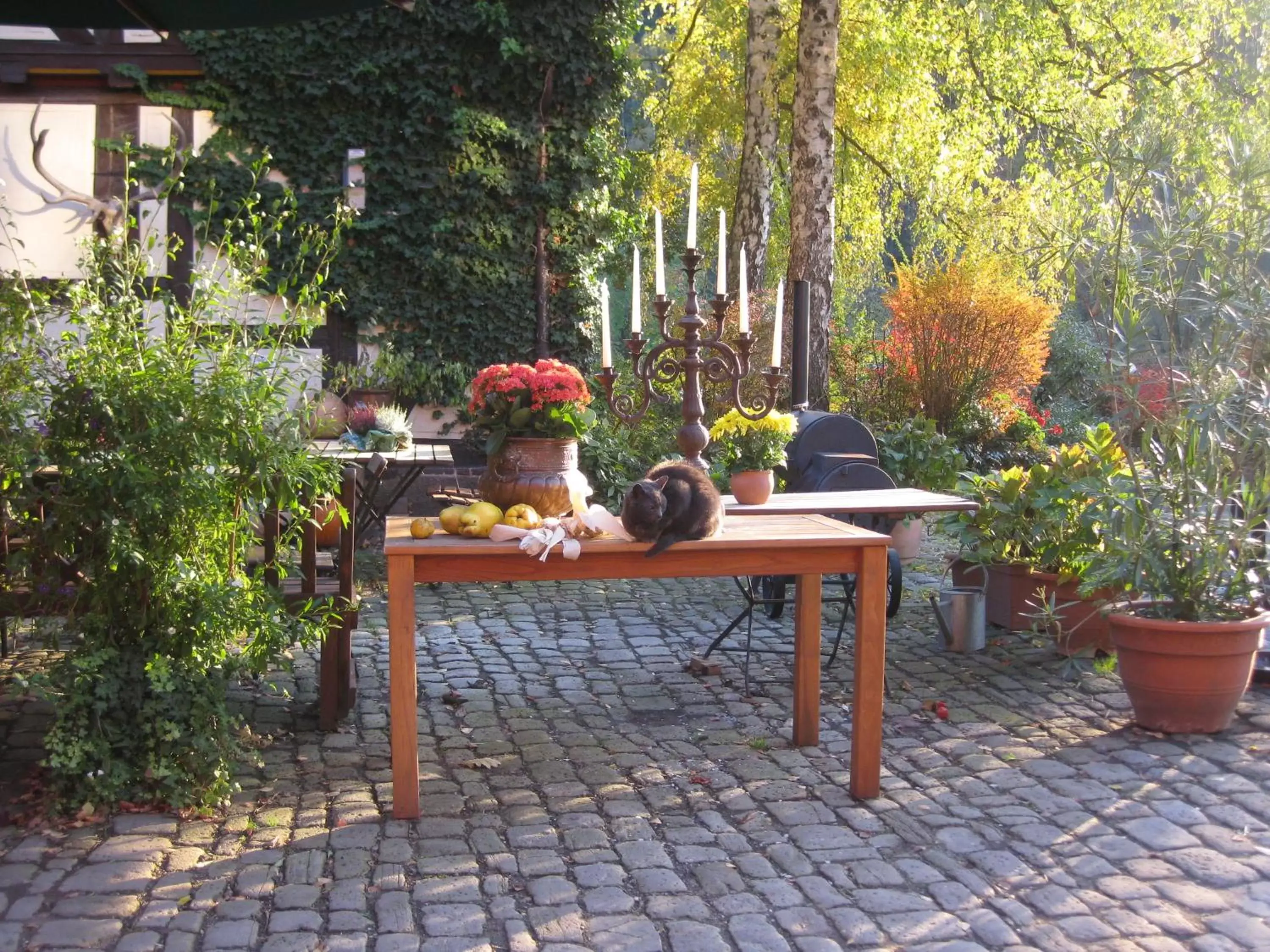 Hotel Schlafschön Hotel Schlafschön