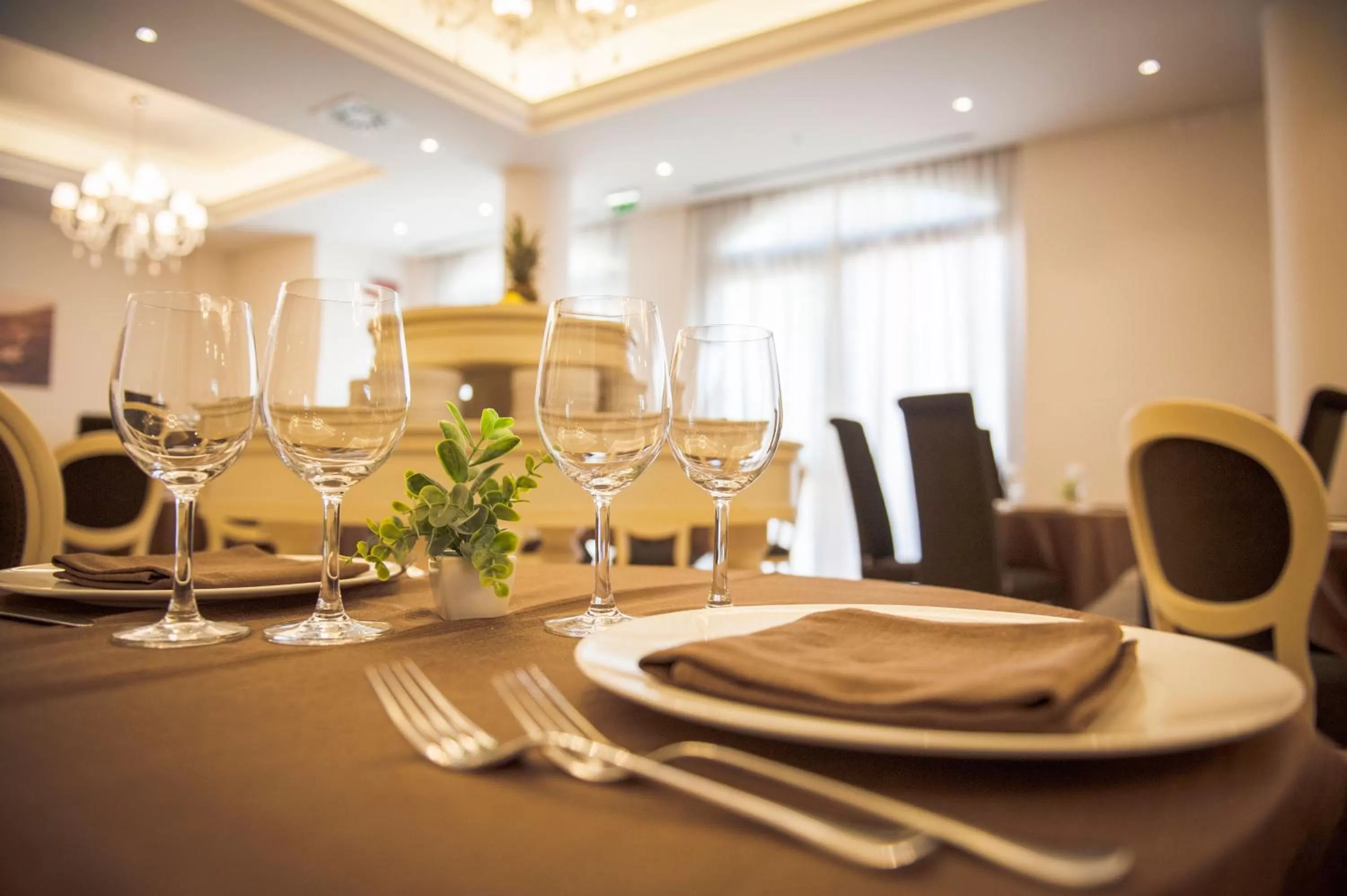 Restaurant/places to eat in Hotel Fini