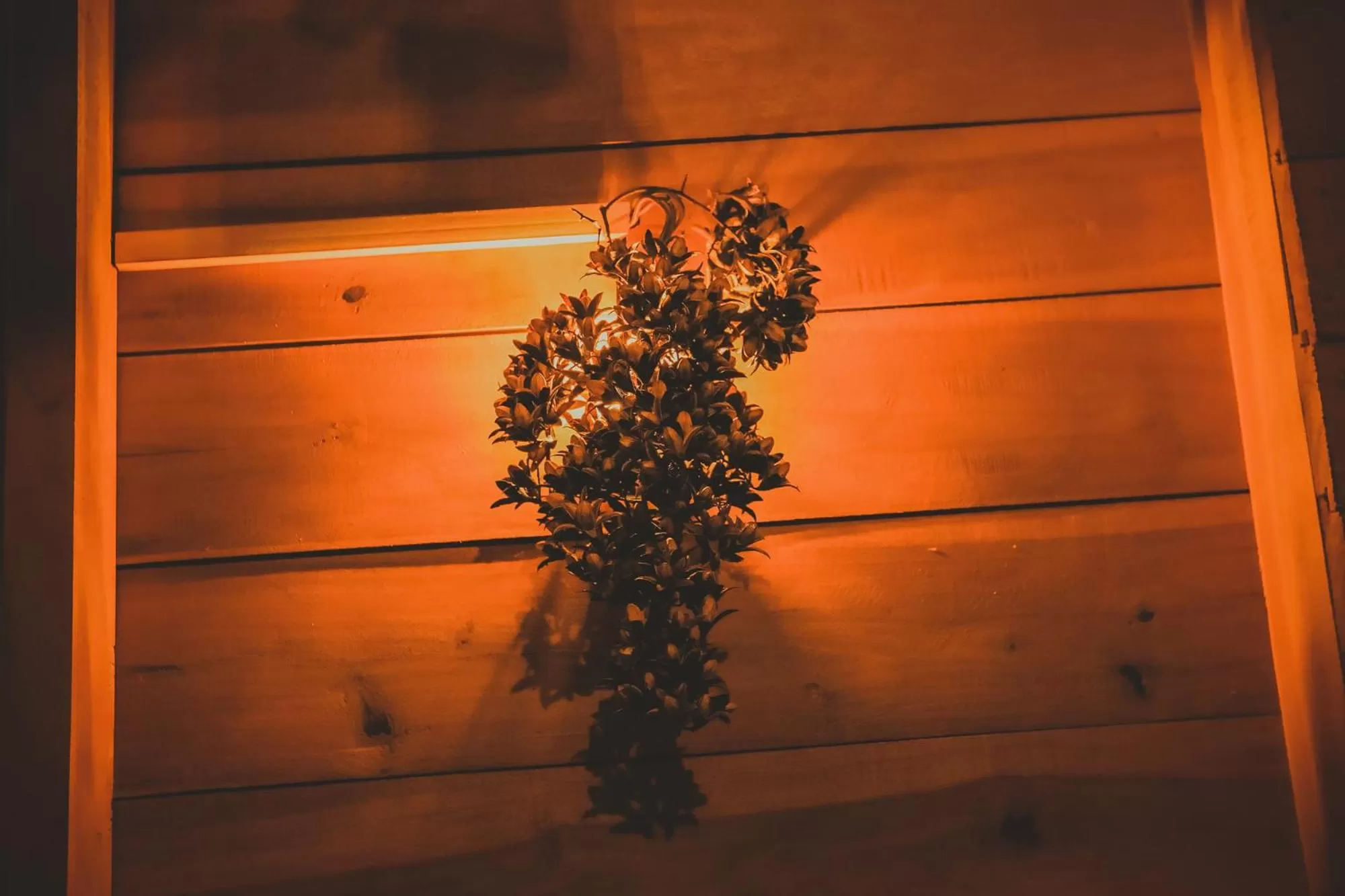 The Winsome & Tree House