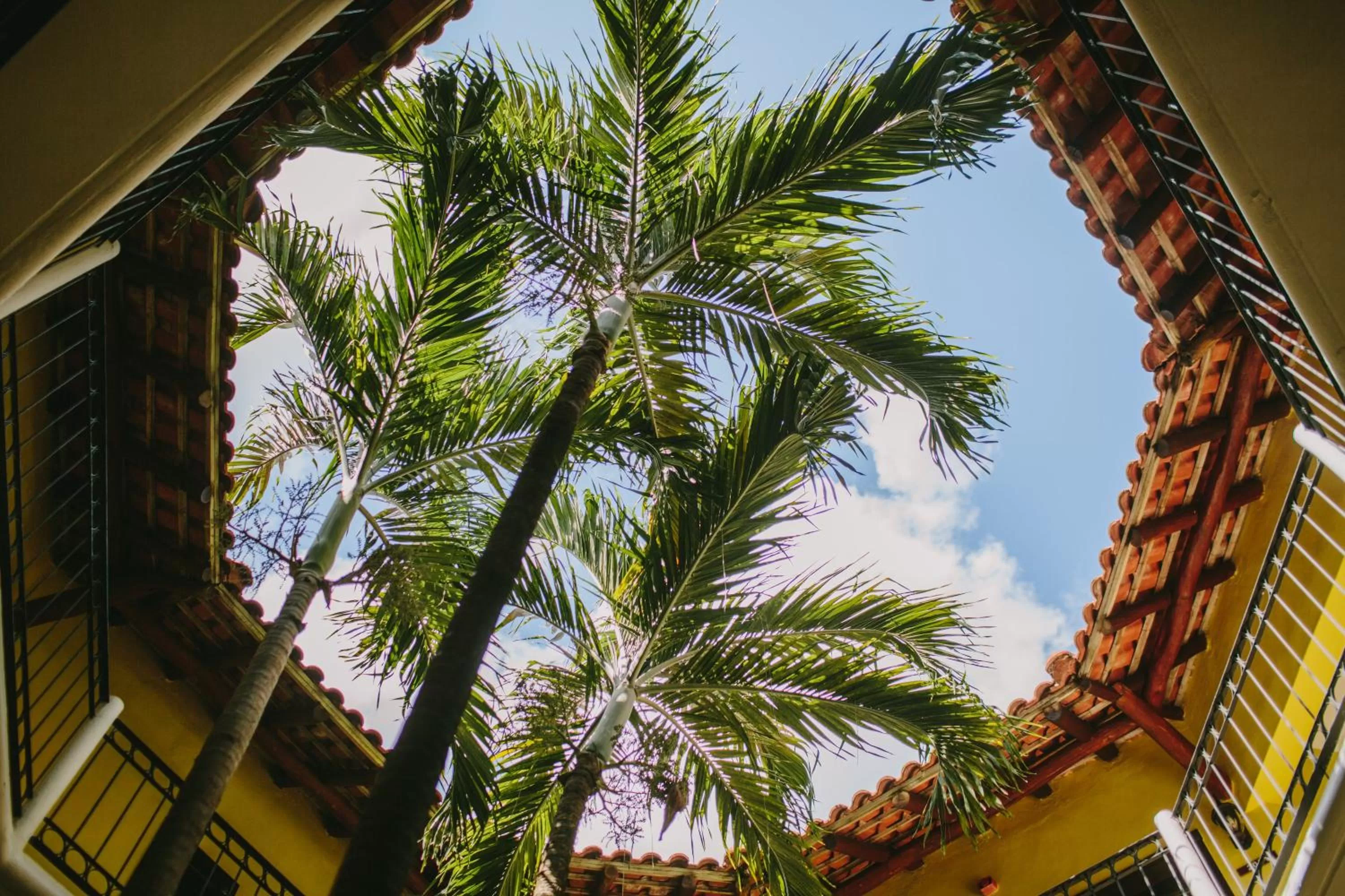 Double Room (2 Adults + 2 Children) in Occidental Cozumel - All Inclusive