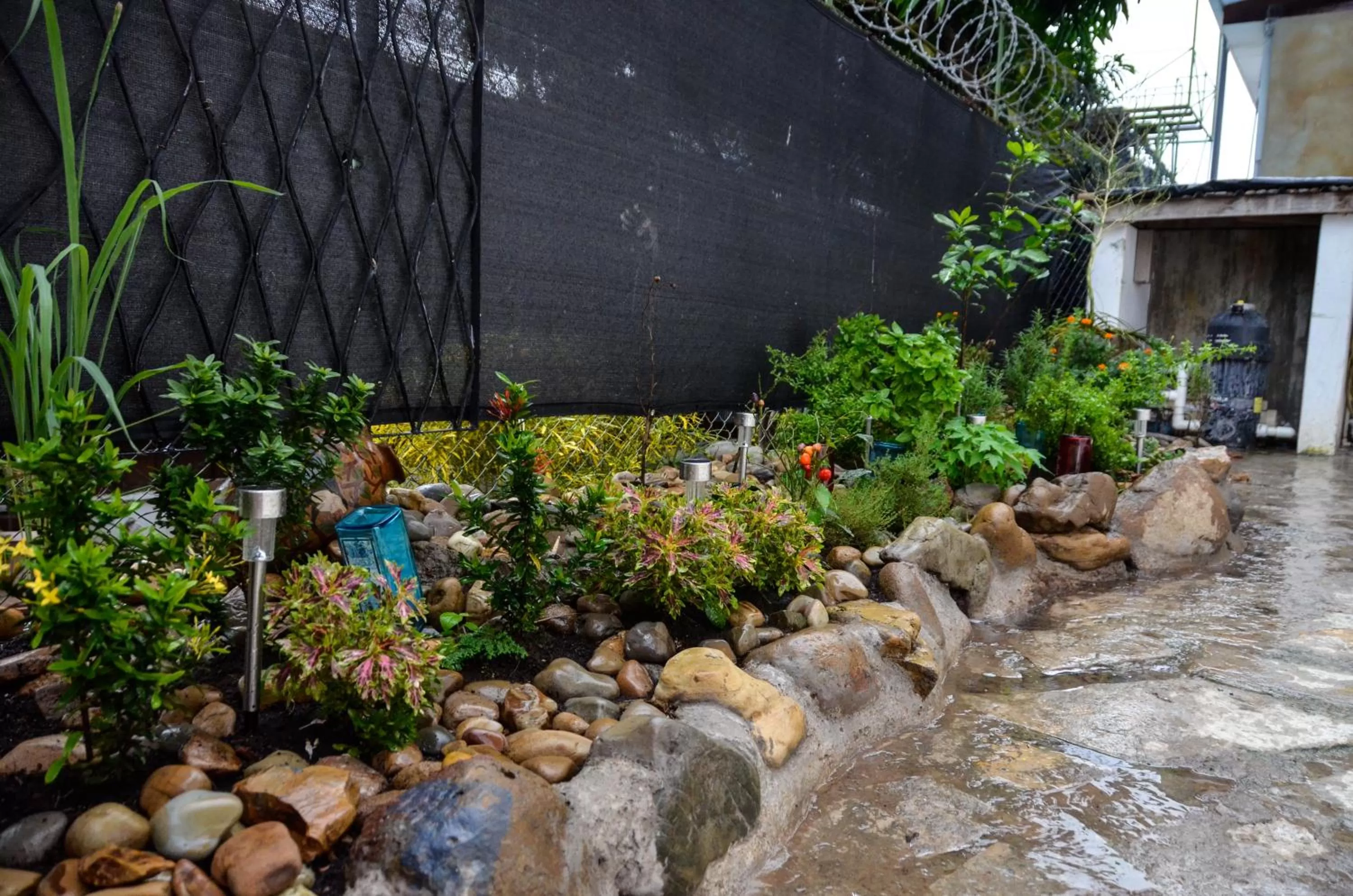 Other in Nuestra Casa