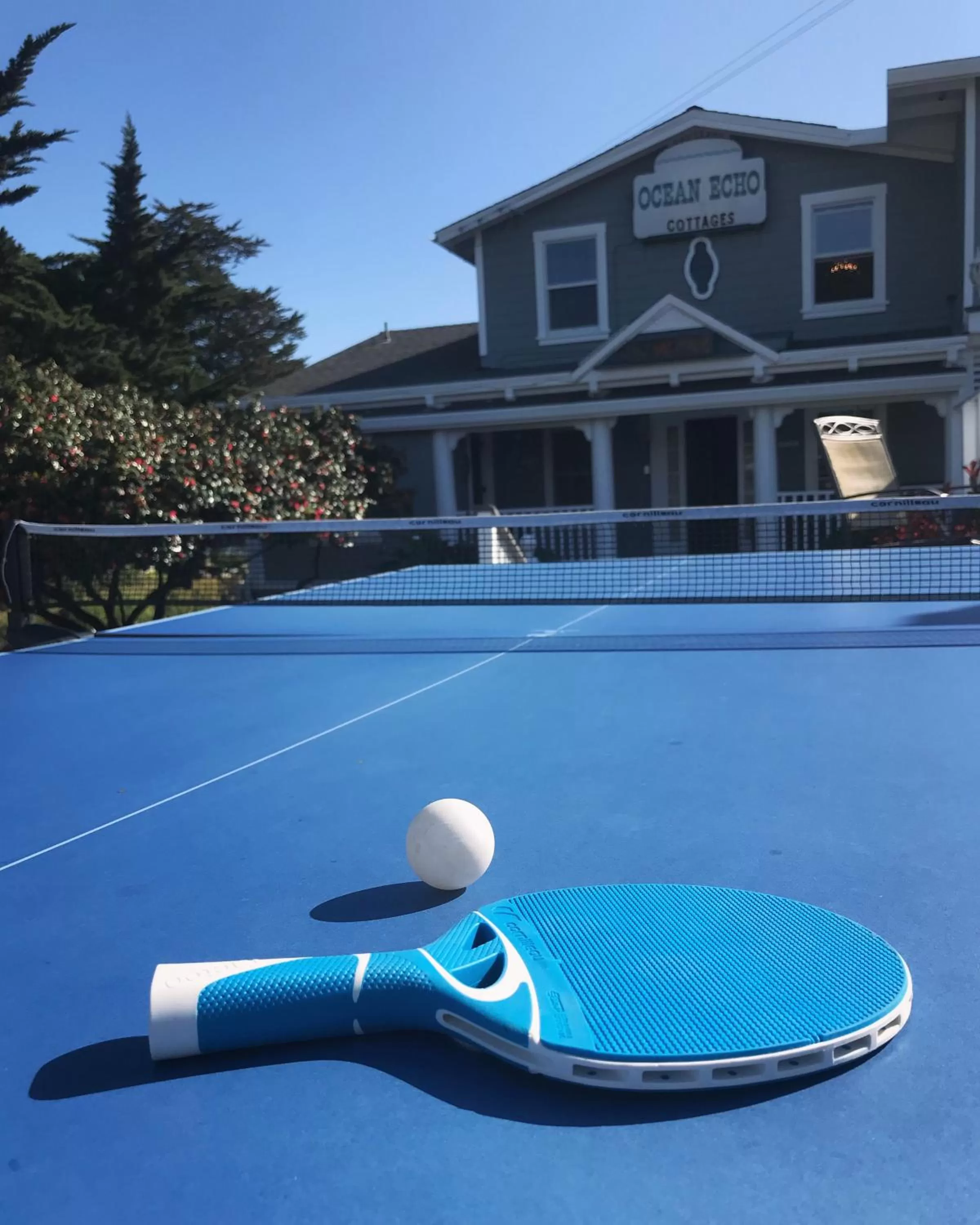 Balcony/Terrace in Ocean Echo Inn & Beach Cottages