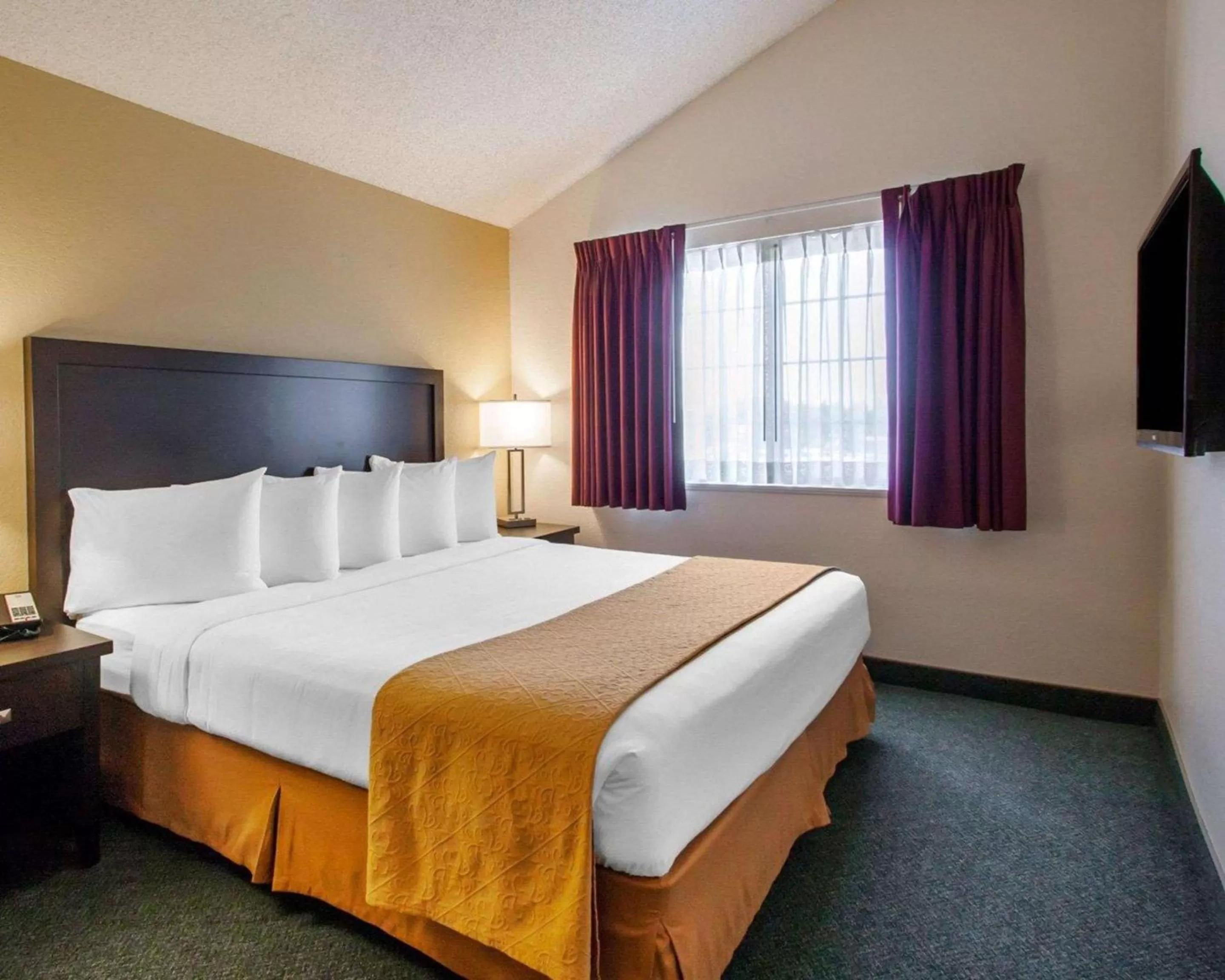 Photo of the whole room, Bed in Quality Inn & Suites Springfield - Eugene North