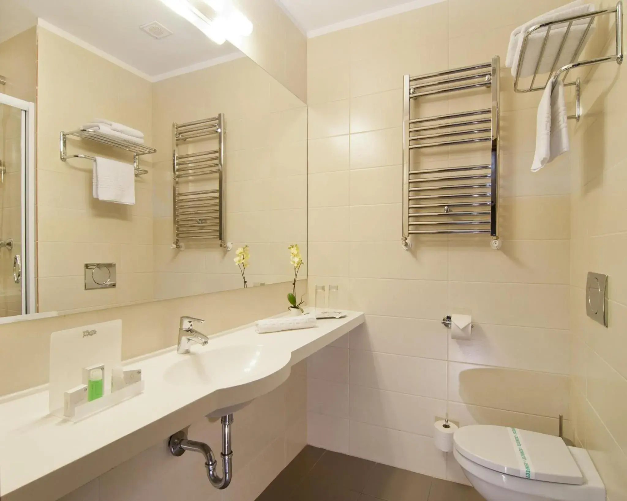 2 Twin Beds Room - single occupancy in Wyndham Cluj 2 Twin Beds Room - single occupancy in Wyndham Cluj